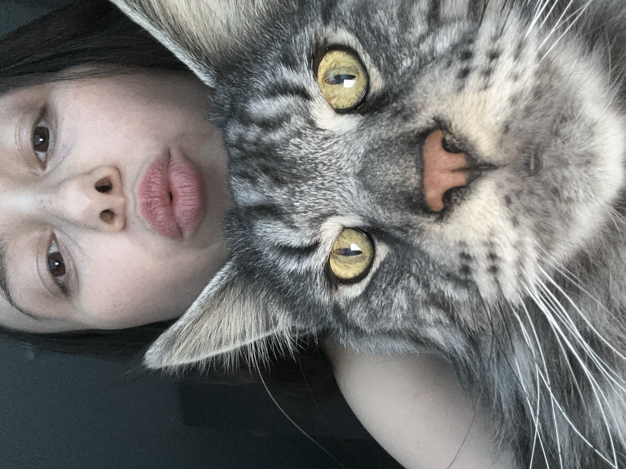The image displays a close-up portrait featuring an adult female and a large domestic cat. The female occupies the upper portion, with her face partially visible, characterized by fair skin and dark hair. Her lips are puckered in a "kissing" pose, and her visible left eye has dark brown irises. The cat, exhibiting traits consistent with a Maine Coon, dominates the lower half of the frame. It has a grey tabby coat with distinct darker stripes, amber-yellow eyes with constricted pupils, and a prominent pink nose. White whiskers extend from its muzzle. Both subjects are looking directly towards the viewer. The background is uniformly dark and out of focus, indicating an indoor setting with no discernible environmental details. The image itself provides no visual cues to identify a specific location within the city of Chaikovsky, Russia.
