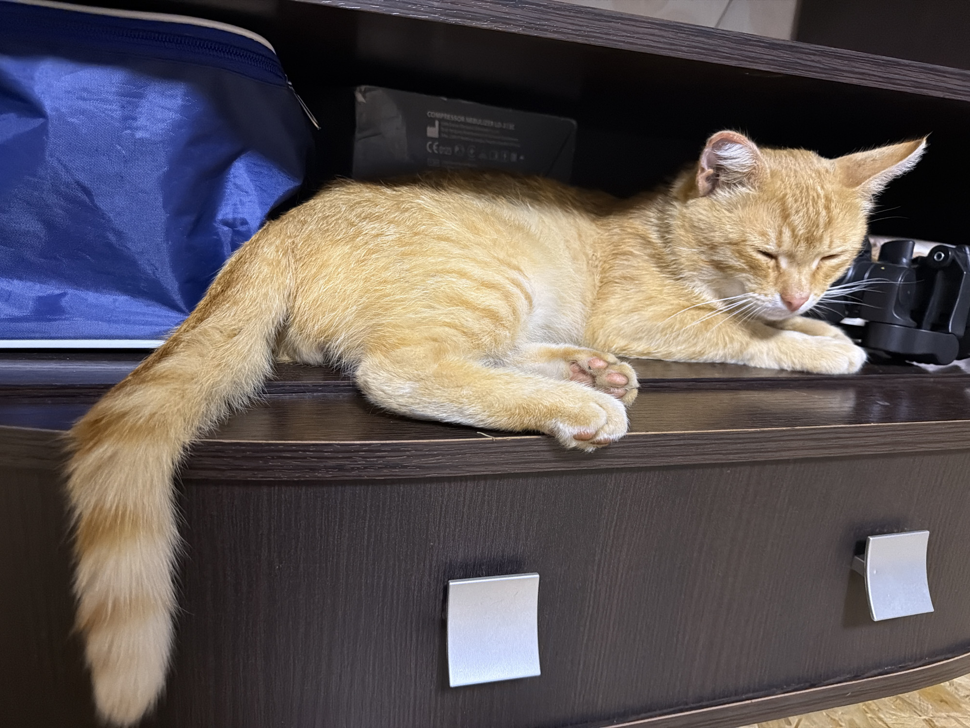 An orange tabby cat is lying on its side on a dark wood surface, possibly a shelf or the top of a dresser. The cat's eyes are closed, and its paws are tucked beneath its body. Its tail is extended to the left side of the frame. To the left of the cat, a portion of a blue fabric bag is visible. Behind the cat, on the shelf, are a gray box with text and a black electronic device, possibly a camera. The surface the cat is lying on appears to be the top of a dresser with two silver drawer pulls visible below. The background is dark, suggesting it is inside a room. The scene is indoors.