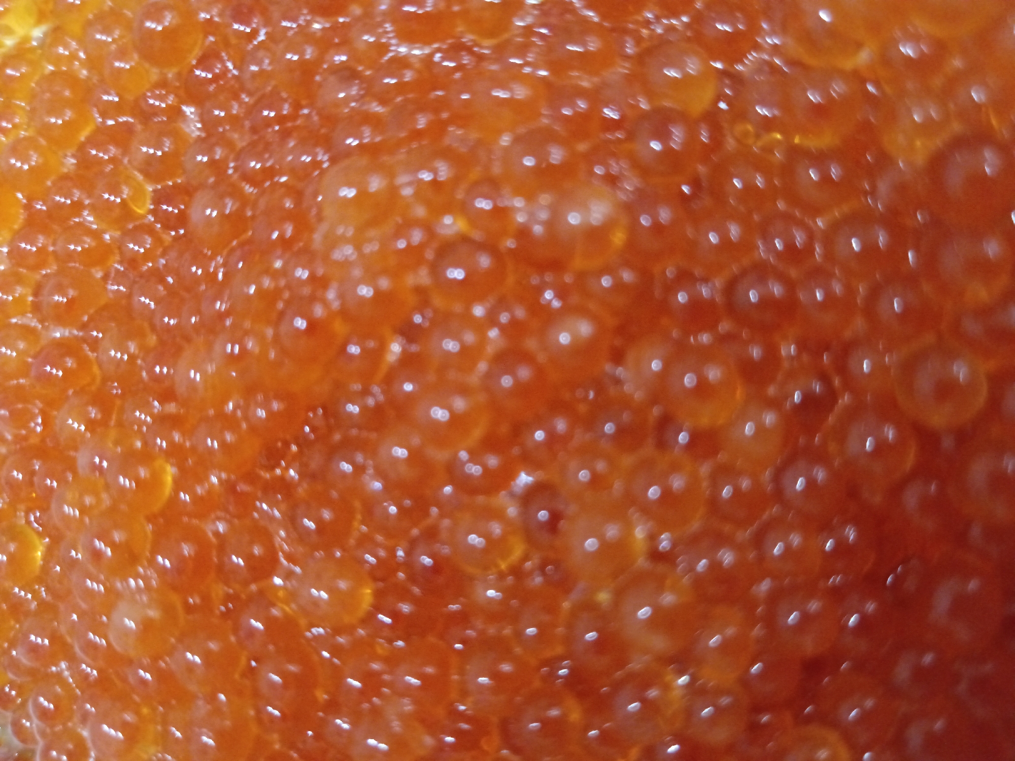The image is a close-up, abstract view of salmon roe. The individual eggs are small, round, and translucent, with a vibrant orange-red color. They are densely packed together, creating a textured surface. Highlights and reflections glint off the surface of the roe, indicating a light source, possibly from above. The overall impression is one of rich texture and color. There is no indication of any specific location in the city of Sorochinsk, Russia, or any other environmental context. The image focuses solely on the visual characteristics of the food item.
