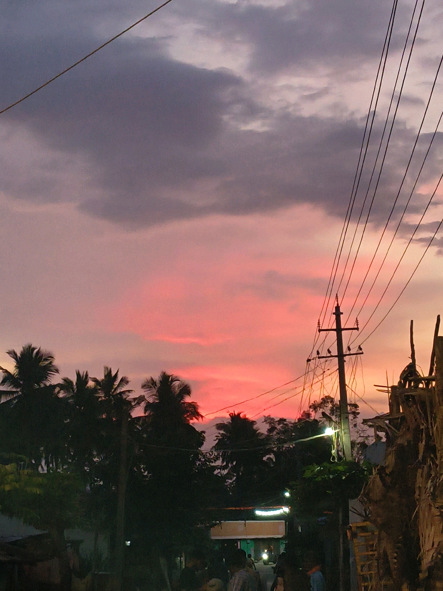 The image depicts a twilight scene in Nilasandra, India, characterized by a vibrant sky and silhouetted elements. The sky is a gradient of soft purples and grays at the top, transitioning to a dramatic, intense pink and orange near the horizon. A prominent power pole with multiple wires stretches diagonally across the upper right portion of the frame. These wires are silhouetted against the colorful sky.
In the foreground and midground, lush, dark green palm trees and other dense foliage are visible, their shapes defined by the fading light. A few small birds are perched on the crossbars of the power pole. Below the trees and power pole, an indistinct area suggests a street or pathway with some structures and a few dimly lit lights. Several figures are present, appearing as silhouettes or partially illuminated individuals, suggesting human activity in the area. To the far right, a tall, rustic structure made of rough-hewn wood and possibly dried plant matter is also silhouetted against the sky. The overall impression is of a natural phenomenon, the sunset, interacting with the man-made infrastructure and local environment of Nilasandra.