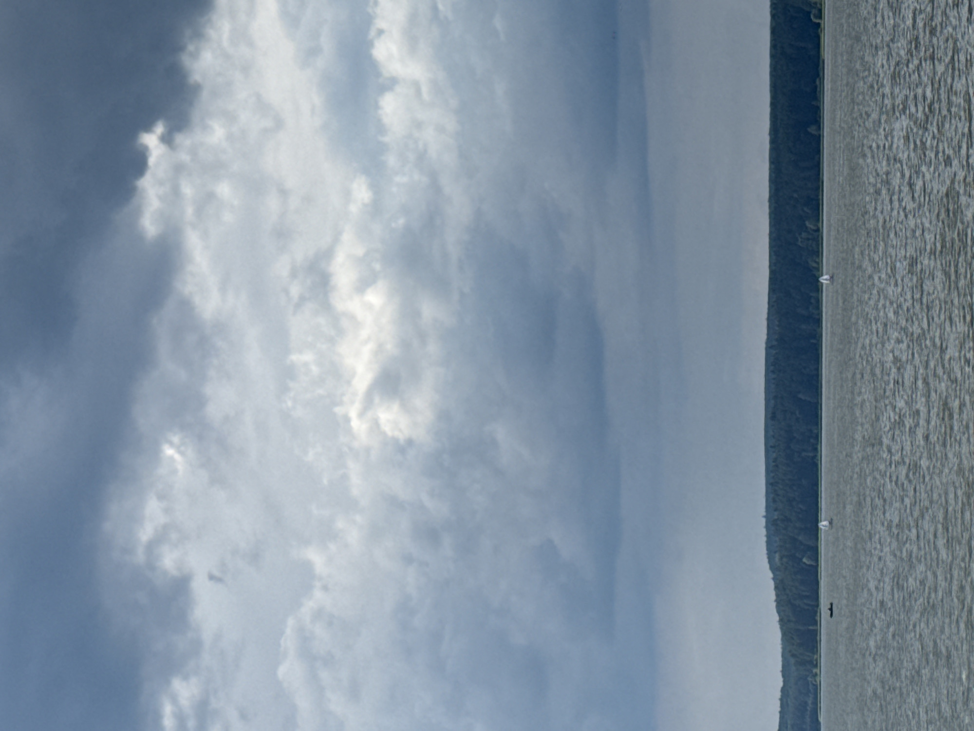 The image shows a landscape scene with a body of water, a forested shoreline, and a cloudy sky. The water appears to be a lake or a wide river, with ripples on its surface. A narrow strip of land with trees lines the edge of the water, forming a dark green, undulating barrier. Beyond the trees, the land rises into a hill or mountain range that is mostly obscured by the sky.
The sky is filled with clouds of varying density and color. Some parts are a dark, stormy gray, while others are a lighter, wispy white, allowing patches of blue to show through. The clouds suggest it might be a partly cloudy or overcast day, possibly with recent or impending rain.
In the water, a small white sailboat is visible near the shoreline. Further to the left, a solitary figure, likely a person, is standing on the shore or in the shallow water. The overall mood of the image is serene and natural, with a sense of vastness due to the expanse of water and sky. There is no visible text in the image. The time of day is not explicitly clear but the lighting suggests it could be daytime, possibly late afternoon or early morning given the cloud cover. The location is Votkinsk, Russia.