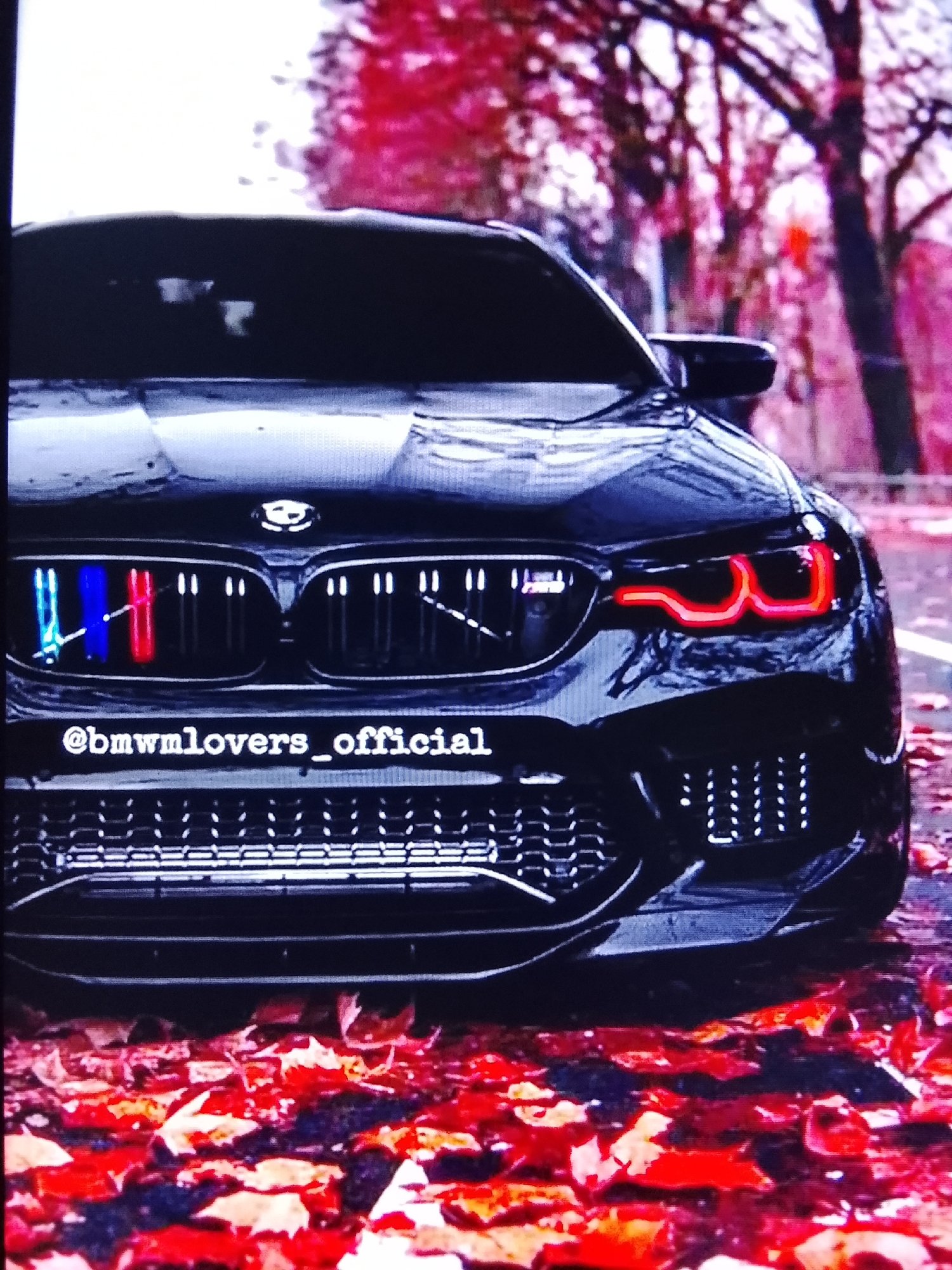 A black BMW M car is parked on a street covered in fallen red and orange leaves. The car has its distinctive red angel eye headlights illuminated. The grille of the car features the BMW logo and the M-colored stripes in blue, red, and red. Below the grille, there is a watermark that reads "@bmwmlovers_official". The background shows trees with red and pink foliage, suggesting an autumn setting. There are no people visible in the image. The scene appears to be an artistic shot of the car in a natural environment.