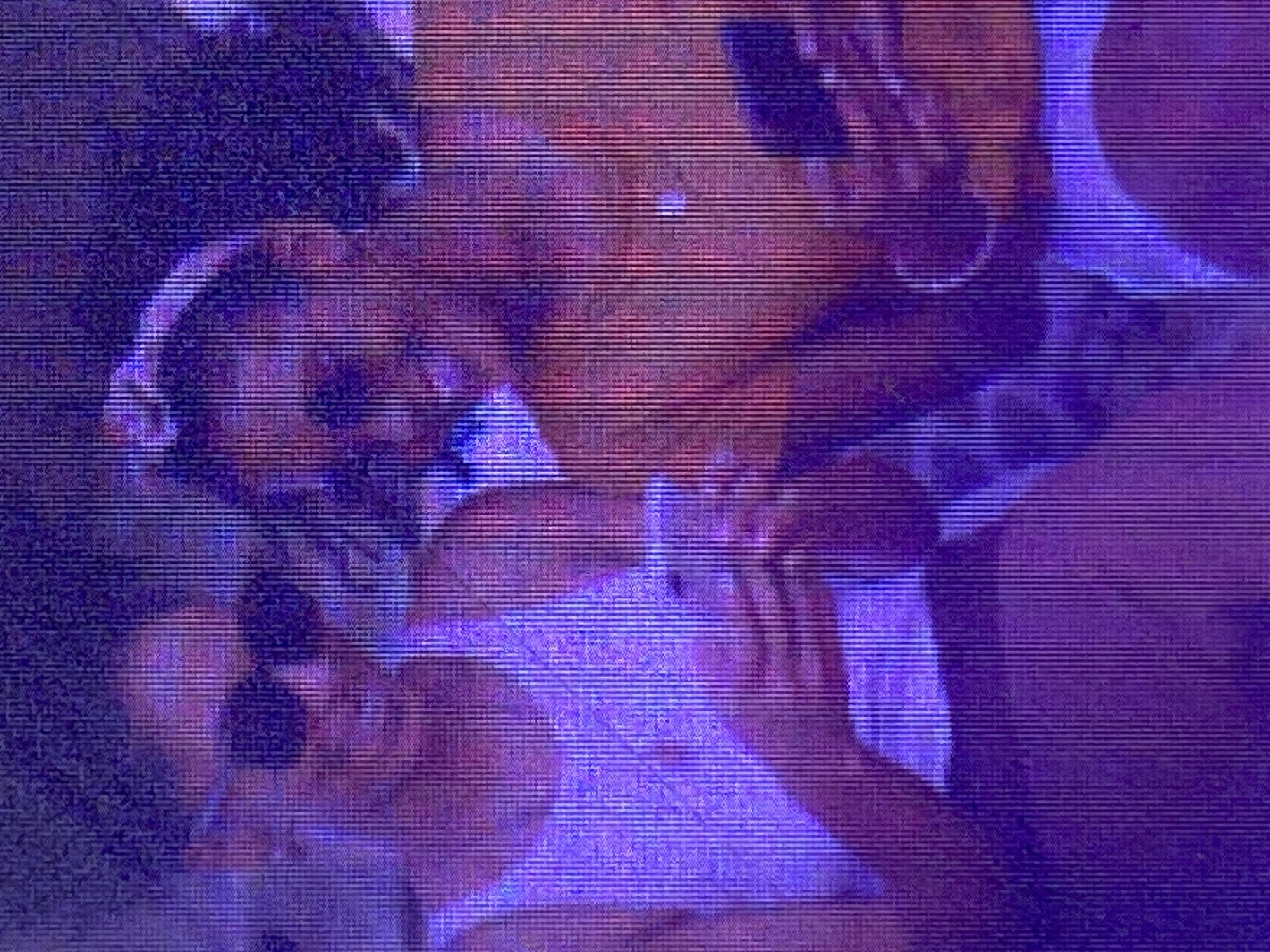 This media file depicts a close-up, grainy, and heavily stylized image of what appears to be two people. The overall color palette is dominated by shades of purple and blue, with some reddish-brown hues visible. The image quality is poor, with significant horizontal lines and pixelation, resembling a distorted video feed or an old photograph with significant damage.
The subjects are not clearly defined due to the image quality. One appears to be in the foreground, with a portion of their head visible, possibly wearing a head covering or headphones. Another person or part of a person is in the background, with their torso visible. The individuals seem to be in close proximity.
The activity or event taking place is unclear. The poses and proximity suggest an interaction, possibly a hug or a shared moment, but the lack of detail makes it impossible to determine with certainty. The overall mood is indistinct due to the visual distortion, but the color choices might evoke a sense of intimacy or melancholy.
Notable details are extremely limited. There are no discernible time of day, weather, or location cues. No text is visible in the image. The grainy and distorted nature of the image is the most prominent characteristic. The context of Ikorodu, Nigeria, is provided, but there are no visual elements within the image that directly support this location.
