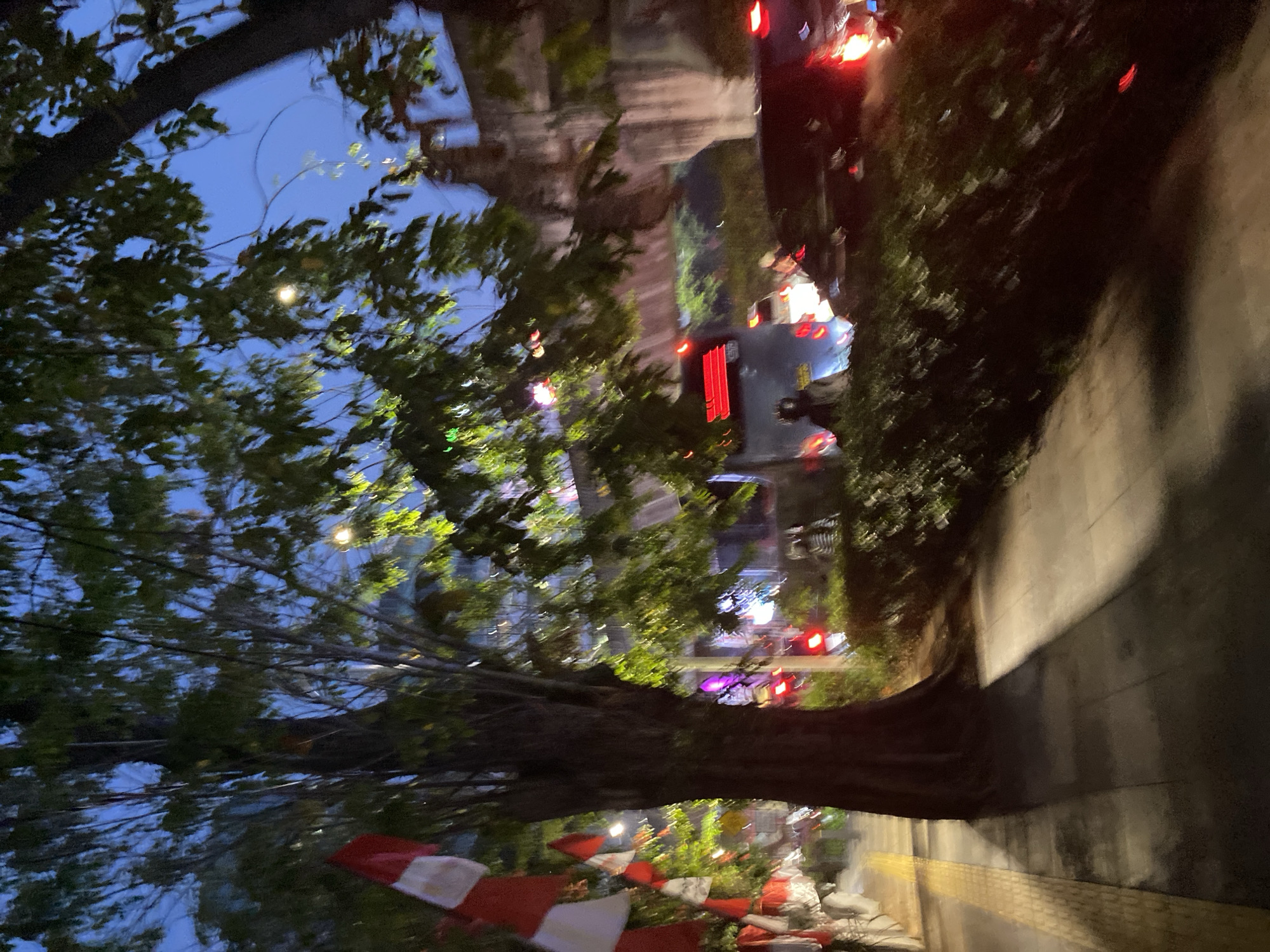 The image depicts a street scene in South Jakarta, Indonesia, during what appears to be evening or twilight. The perspective is from a sidewalk, with a large tree trunk prominently in the foreground to the left. Red and white triangular flags, reminiscent of Indonesian national flags, are strung along the sidewalk on the left side of the image. A sidewalk with yellow tactile paving is visible.
Beyond the sidewalk, a street is lined with traffic, including a bus with illuminated red taillights and other vehicles. The traffic lights are red. There are some indistinct figures of people, possibly motorists or pedestrians, visible within the vehicles. Green foliage from trees and bushes lines the street and overhangs parts of the scene, with some lights visible through the leaves. In the background, there is an elevated structure, possibly a bridge or overpass, with textured concrete. The overall impression is a busy urban environment with decorative elements.