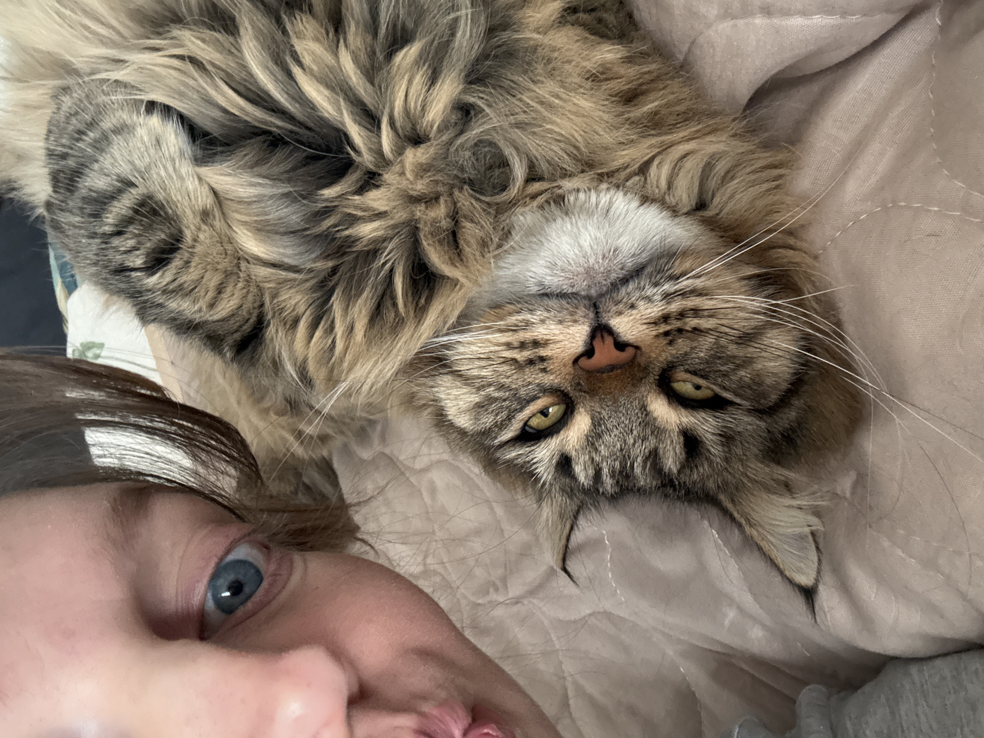 The image shows a selfie taken indoors. A person with light skin, blue eyes, and brown hair is visible in the lower left corner of the frame. The main subject is a fluffy, brown tabby cat lying on its back on a beige quilted surface. The cat's face is prominently featured, with its eyes partially open and whiskers visible. No information is available to suggest the location is in Izhevsk, Russia.