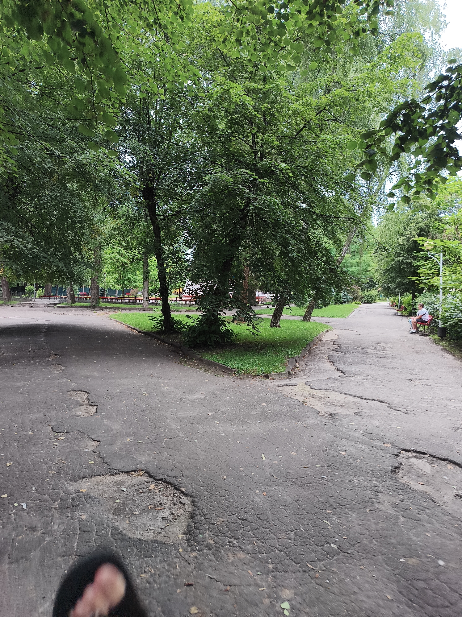 The image depicts a fork in an asphalt pathway within a park, possibly located in Ternopil, Ukraine. Lush green trees with dense foliage line both sides of the path. On the left, the path curves sharply, revealing a section of grass and more trees. In the distance, on the left, several park benches are visible. The path on the right continues further into the park, where a person is seated on a red bench. The asphalt surface of the path is cracked and uneven, with some visible potholes. The overall impression is that of a somewhat worn but verdant urban park.