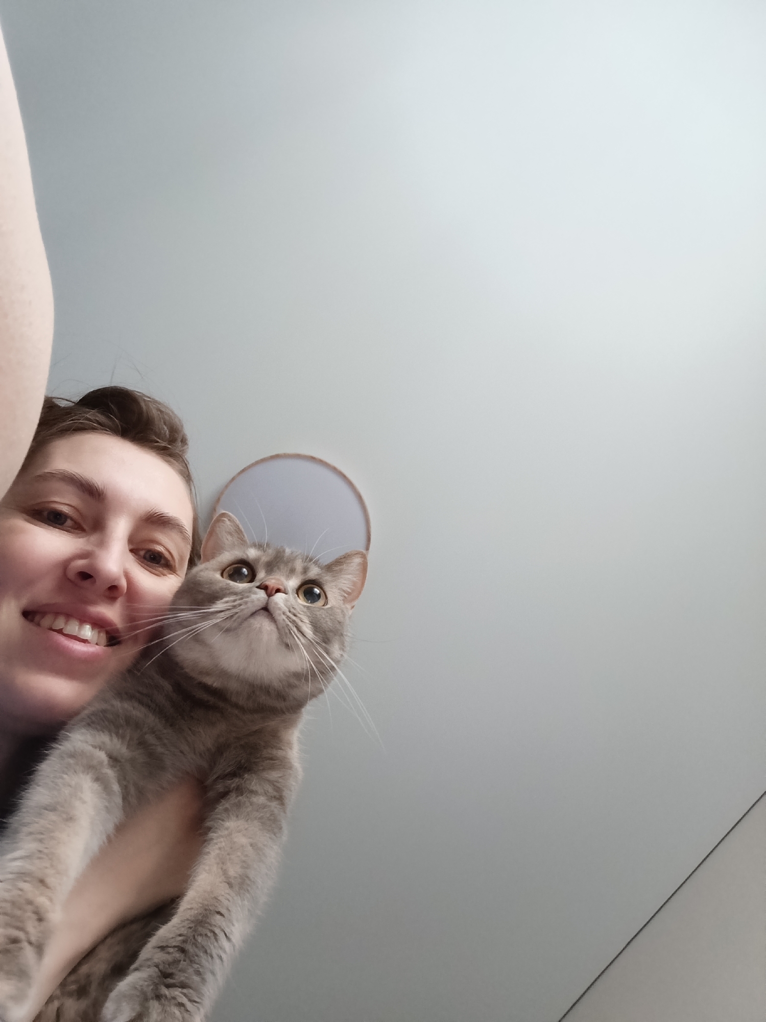 A woman with her hair up smiles while holding a grey tabby cat, both looking upwards. The background is a light grey ceiling with a round light fixture. A corner of a wall is visible in the lower right. The location is indicated as Chaikovsky, Russia.