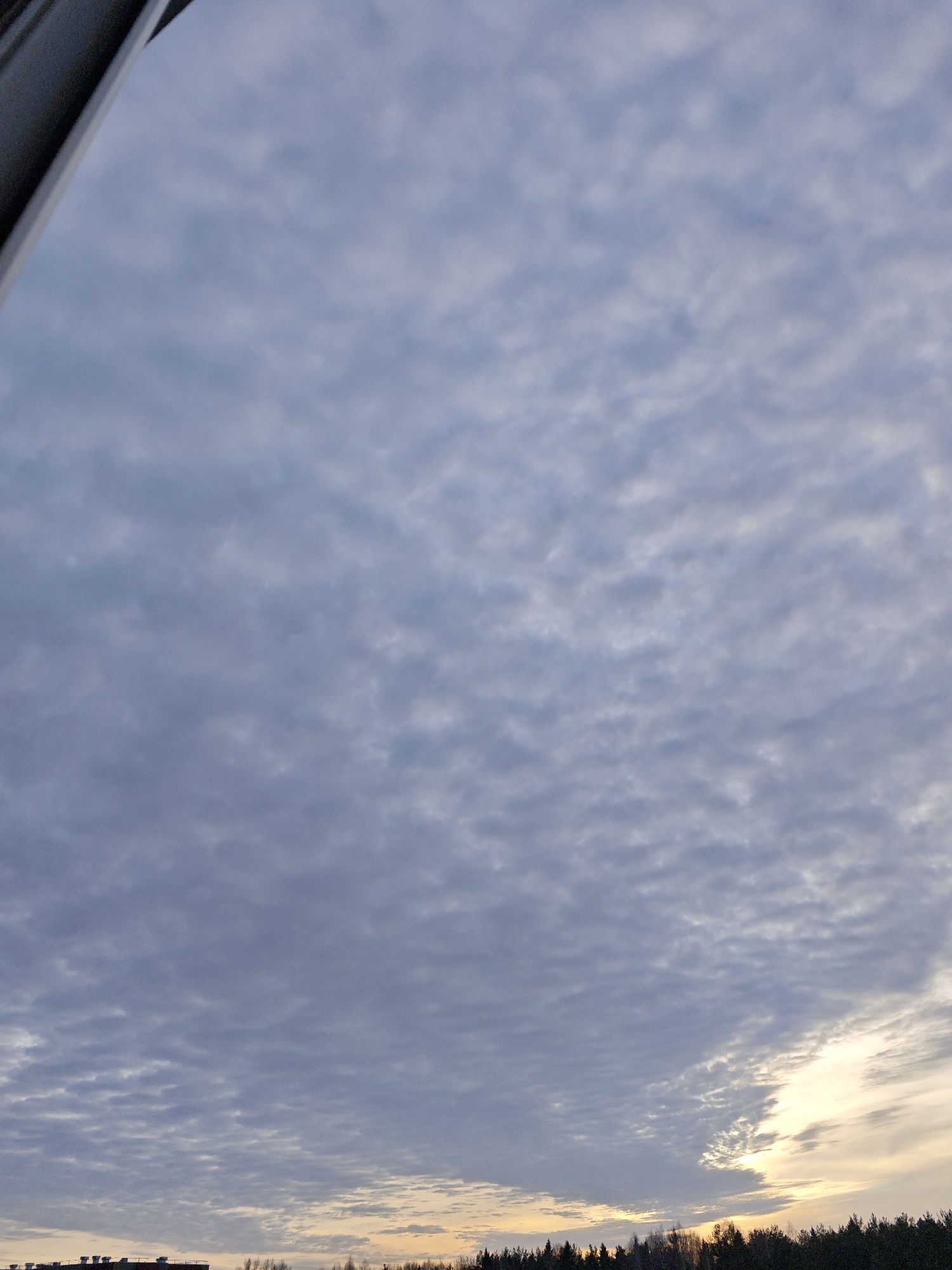 The scene depicts an expansive sky above a distant horizon in Markovskii, Russia. The majority of the frame is filled with a dense formation of greyish-blue altocumulus or stratocumulus clouds, exhibiting a textured, rippled pattern. In the lower right quadrant, a localized area of bright, warm light, ranging from yellow to pale orange, indicates a low sun position consistent with either sunrise or sunset. Below this illuminated section, a dark, silhouetted treeline, composed of dense and irregular tree masses, is visible along the horizon. Immediately to the left of the treeline, indistinct dark rooftops and structures of buildings are discernible. A dark, angled structural element, possibly a window frame or building overhang, intrudes into the upper left corner of the image. No individuals, specific objects beyond those described, actions, or interactions are present within the frame.