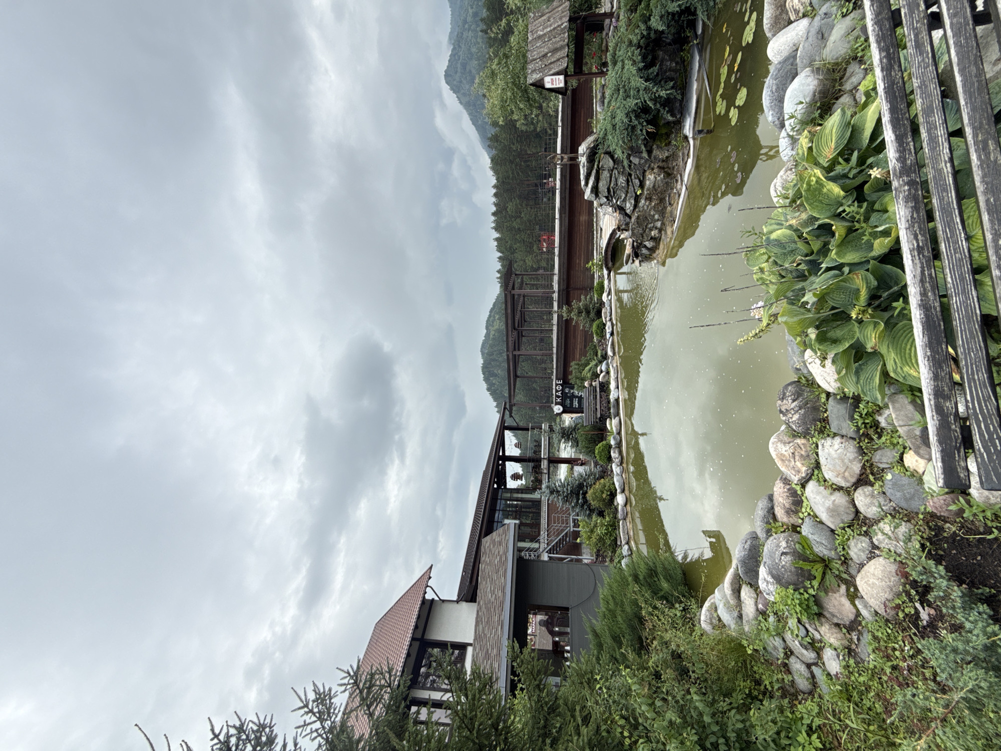 The image depicts an exterior view of a cafe in Barangol, Russia, on an overcast day. A pond with lily pads is in the foreground, surrounded by a rock border and lush greenery, including hosta plants. To the left, a multi-story building with a dark roof and white siding serves as the cafe. Adjacent to it is a covered outdoor seating area with wooden beams and a glass facade. Further back, a wooden fence separates the cafe area from a dense forest that extends to the base of rolling, tree-covered mountains under a cloudy sky. A small, rustic wooden structure with a sloped roof stands near the pond's edge, and a decorative statue of a deer is visible on a rock formation within the pond.