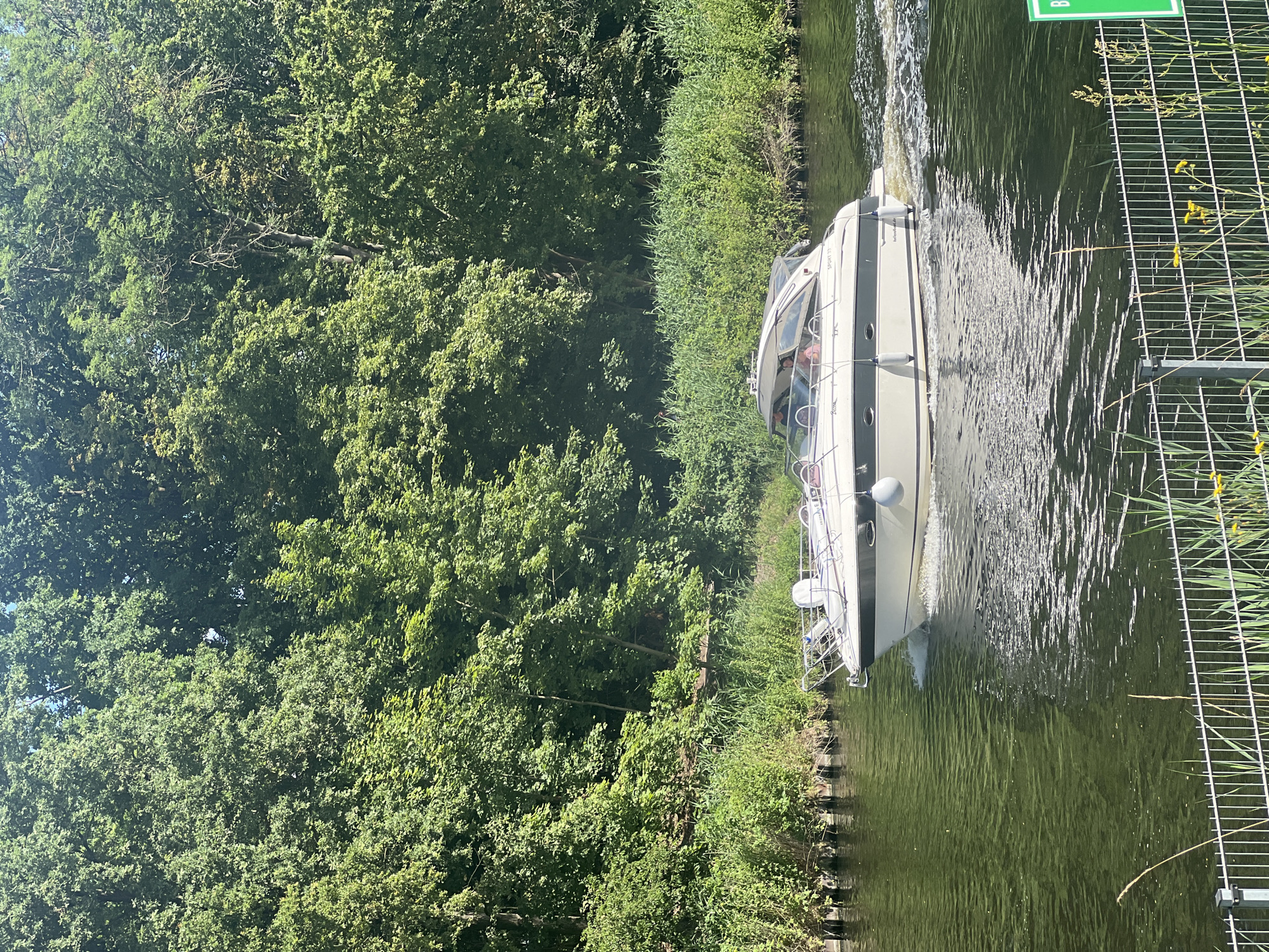 A white motorboat with a dark stripe travels on a body of water, leaving a wake. The boat has a cabin with a window and appears to have at least two people inside. The boat is in motion, heading from left to right in the frame. The scene is set against a backdrop of dense green trees and vegetation on the bank of the water. In the foreground, a silver metal fence runs horizontally across the bottom of the image, with some dry grass and yellow wildflowers growing near it. A green sign with white lettering is partially visible on the right side of the frame. The water's surface is rippled and reflects the sunlight, creating a dappled effect. The overall environment suggests a sunny day in a natural setting, possibly a canal or river. This location is the Teltow Canal in Teltow, Germany, a waterway that connects the Havel River with the Dahme River.