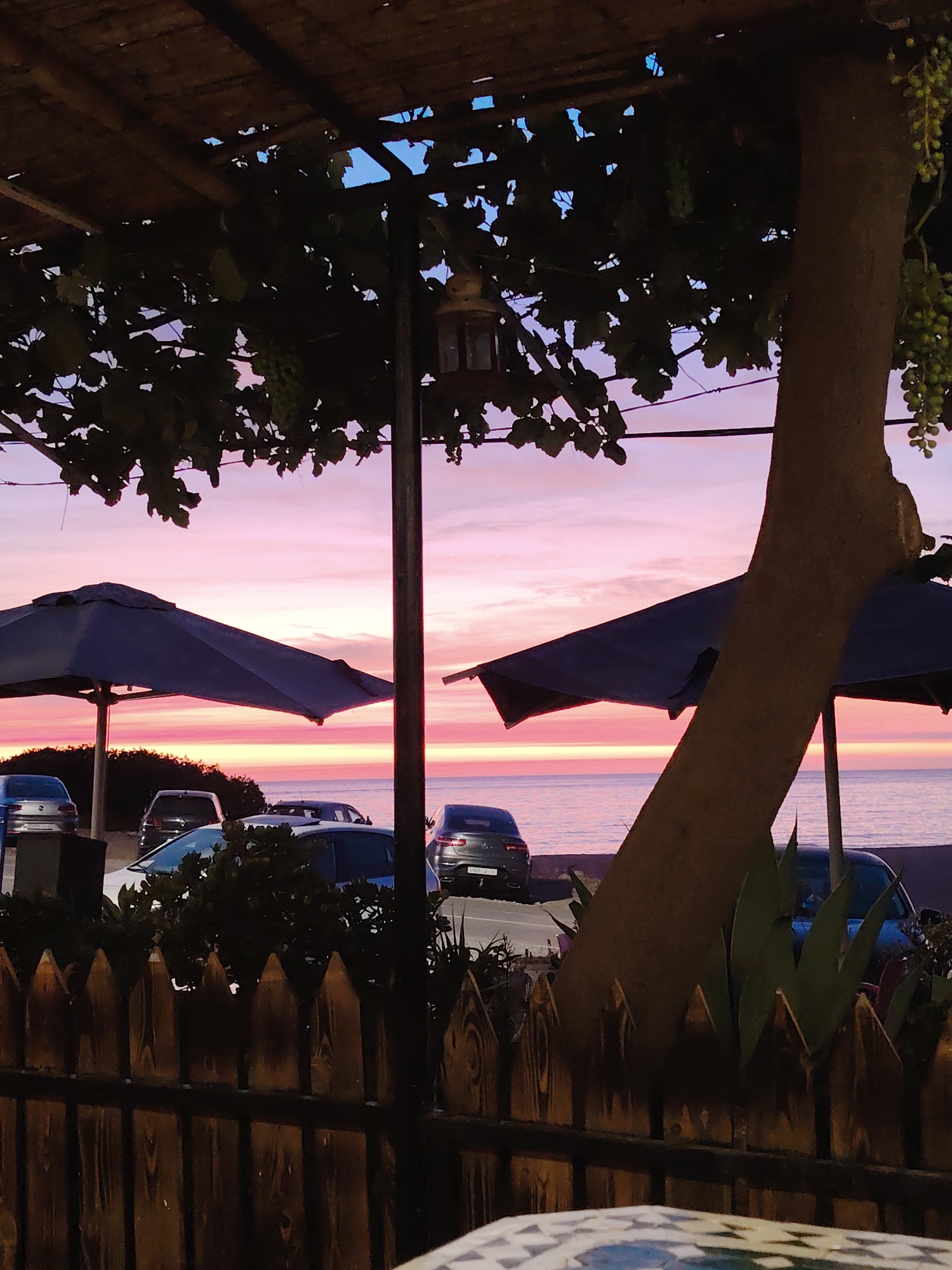 The image captures a sunset scene overlooking the sea, likely in Tangier, Morocco, given the specific context. In the foreground, a wooden fence with pointed stakes encloses an area. Behind the fence, several cars are parked along a road. The cars are a mix of silver, dark grey, and blue.
Further back, the sea stretches to the horizon, reflecting the vibrant colors of the sunset. The sky is a gradient of pink, orange, and purple, with hints of blue. Two dark blue umbrellas are visible, one prominently in the left foreground and another partially obscured on the right.
A thick tree trunk with sparse green leaves and clusters of small green fruits rises on the right side of the frame, partially obscuring the view of the sky and sea. Above, a thatched roof structure is visible, supported by a dark pole. A lantern hangs from this structure. The overall atmosphere is tranquil, with the natural beauty of the sunset dominating the scene.
