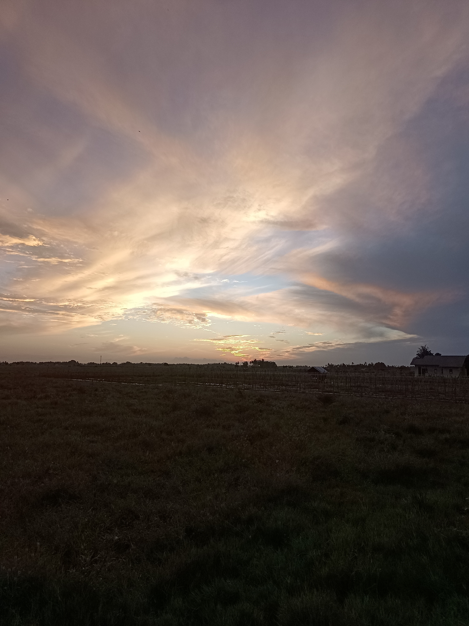 This image depicts a wide, horizontal landscape scene of a rural area in Meunasah Raya, Indonesia, likely during a sunset or sunrise. The foreground is dominated by a dark, textured field of grass, with subtle variations in light and shadow suggesting uneven terrain. A faint, low-lying horizon line separates the field from the sky.
In the mid-ground, a sparse line of vegetation, possibly trees and shrubs, stretches across the landscape. Several small structures are visible, including what appears to be a house with a visible roof and walls on the right side of the frame, and two smaller, less distinct structures further to the left. A fence-like structure, possibly made of wood or bamboo, is also present in the mid-ground, running horizontally.
The sky occupies the upper half of the image and is characterized by dramatic cloud formations. Wispy clouds are illuminated by warm, golden and pinkish light, suggesting the sun is low on the horizon. Streaks of lighter and darker clouds create a dynamic, textured appearance in the sky. The overall lighting suggests twilight. There are no people or animals clearly visible in the frame.