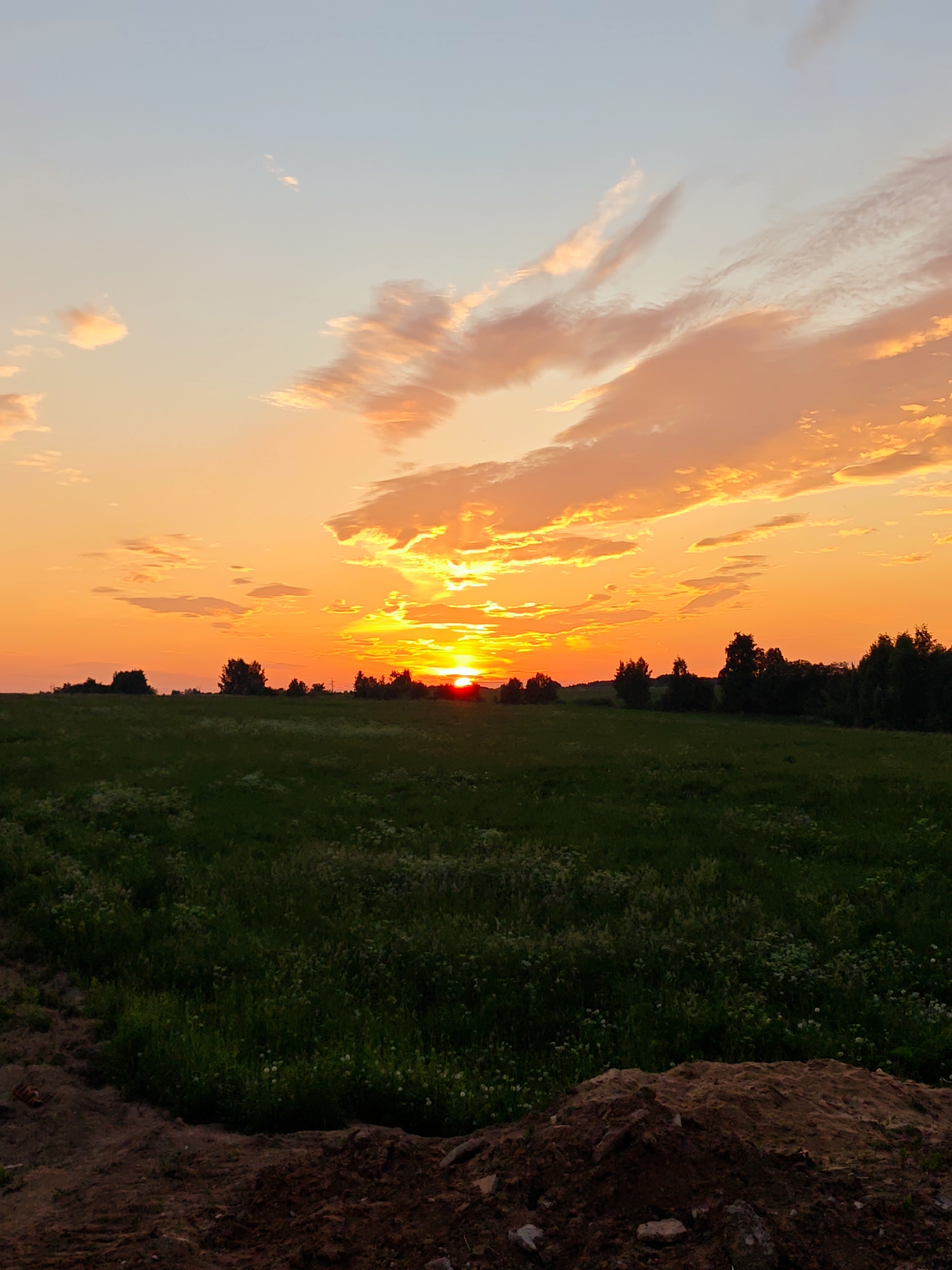 The image depicts a sunset over a rural landscape in Kurovo, Russia. The sky is filled with vibrant hues of orange, yellow, and pink, with wispy clouds catching the last rays of sunlight. The sun itself is a bright orange orb, partially obscured by the horizon, casting a warm glow over the scene.
Below the sky, a vast green field stretches out, dotted with wildflowers. In the distance, a line of trees forms a dark silhouette against the colorful sky, with a few taller trees standing out. The foreground is a rough patch of dirt, suggesting a construction site or an uncultivated area.
The overall mood of the image is peaceful and serene, evoking a sense of tranquility associated with the end of the day. The vibrant colors of the sunset suggest fair weather. There is no visible text in the image.
