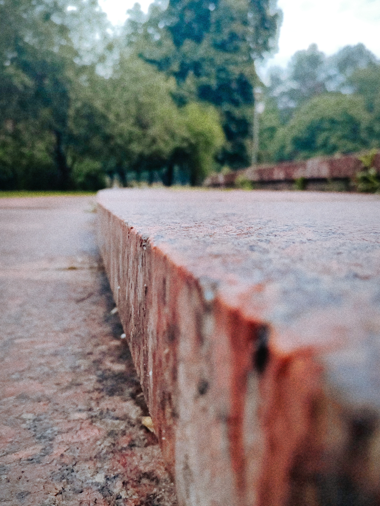 The image displays an outdoor scene, likely a public park or urban green space in Kyiv, Ukraine. The foreground is dominated by a low-angle perspective of a linear, weathered reddish-brown structure, possibly a concrete or stone barrier, bench, or curb. This structure extends diagonally from the lower right corner towards the center-left, with its rough-textured, vertically striated side facing the viewer. The top surface of this structure is also visible, appearing flat and mottled.
To the immediate left of the foreground structure, the ground surface is a flat, textured expanse of greyish-brown material, resembling worn concrete or paved pathway. This surface also exhibits granular noise and subtle variations in tone.
The mid-ground and background are heavily blurred, presenting an indistinct mass of green foliage indicative of numerous trees. Patches of lighter, diffused light above the treeline suggest an overcast sky. No individuals, animals, or specific distinguishing objects are present. The overall lighting is soft, and the image exhibits a noticeable digital noise or grain across all elements. The environment appears serene and natural, consistent with a recreational area such as Mariinsky Park or the National Botanical Garden in Kyiv.