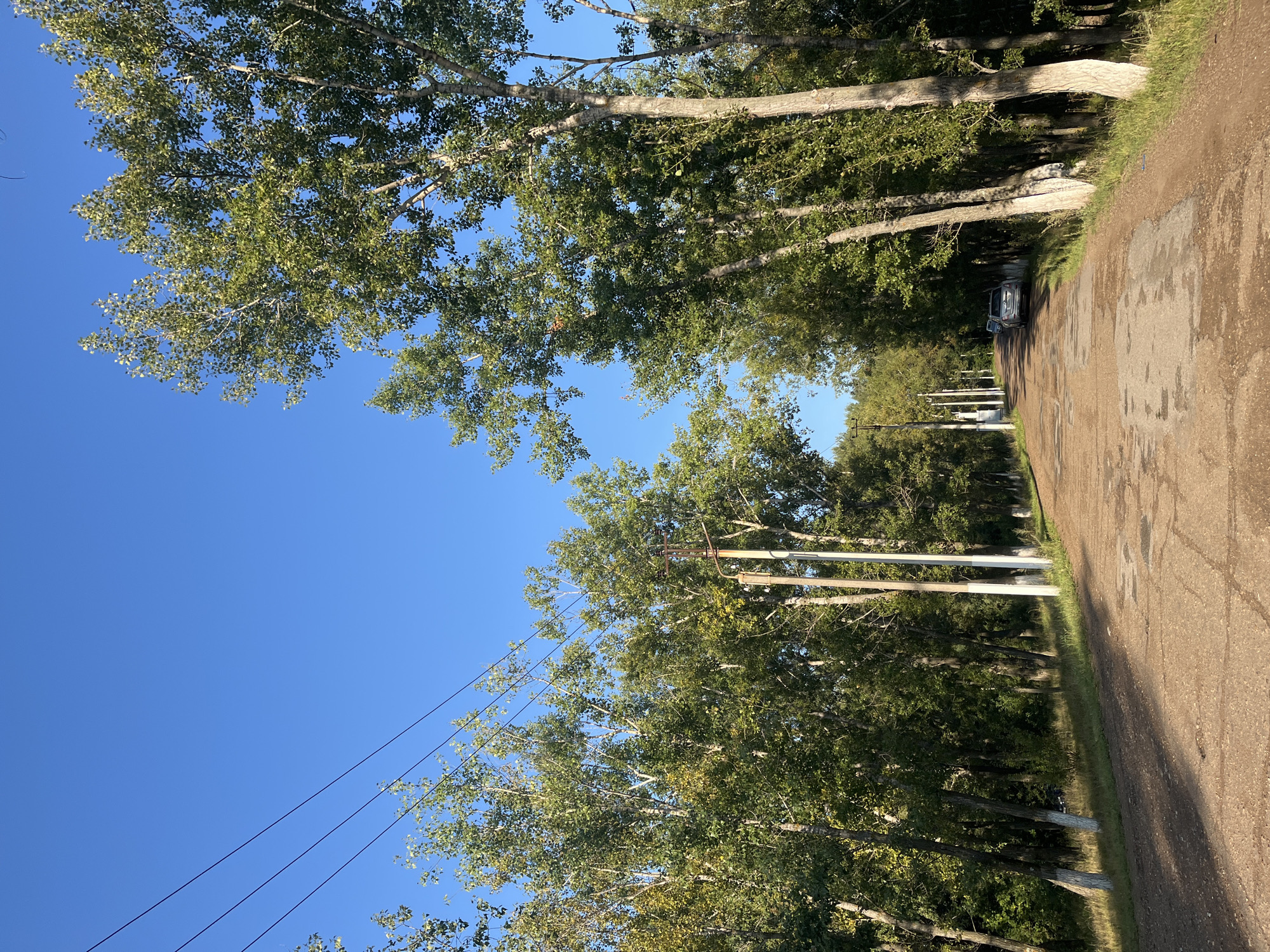 The image depicts a straight, unpaved road lined with tall, deciduous trees on both sides. The road surface appears to be dirt and gravel, with some patches of cracked asphalt. The trees have green foliage, suggesting it is either spring or summer. Overhead, power lines run parallel to the road, supported by utility poles. In the distance, a silver car is parked on the side of the road. The sky is a clear, bright blue. The overall scene suggests a rural or suburban setting outside of a major city. Without further information, it is impossible to definitively identify the specific location within Blagoveshchensk, Russia, but it is consistent with areas that might be found on the outskirts of the city, where such roadways and tree lines are common.