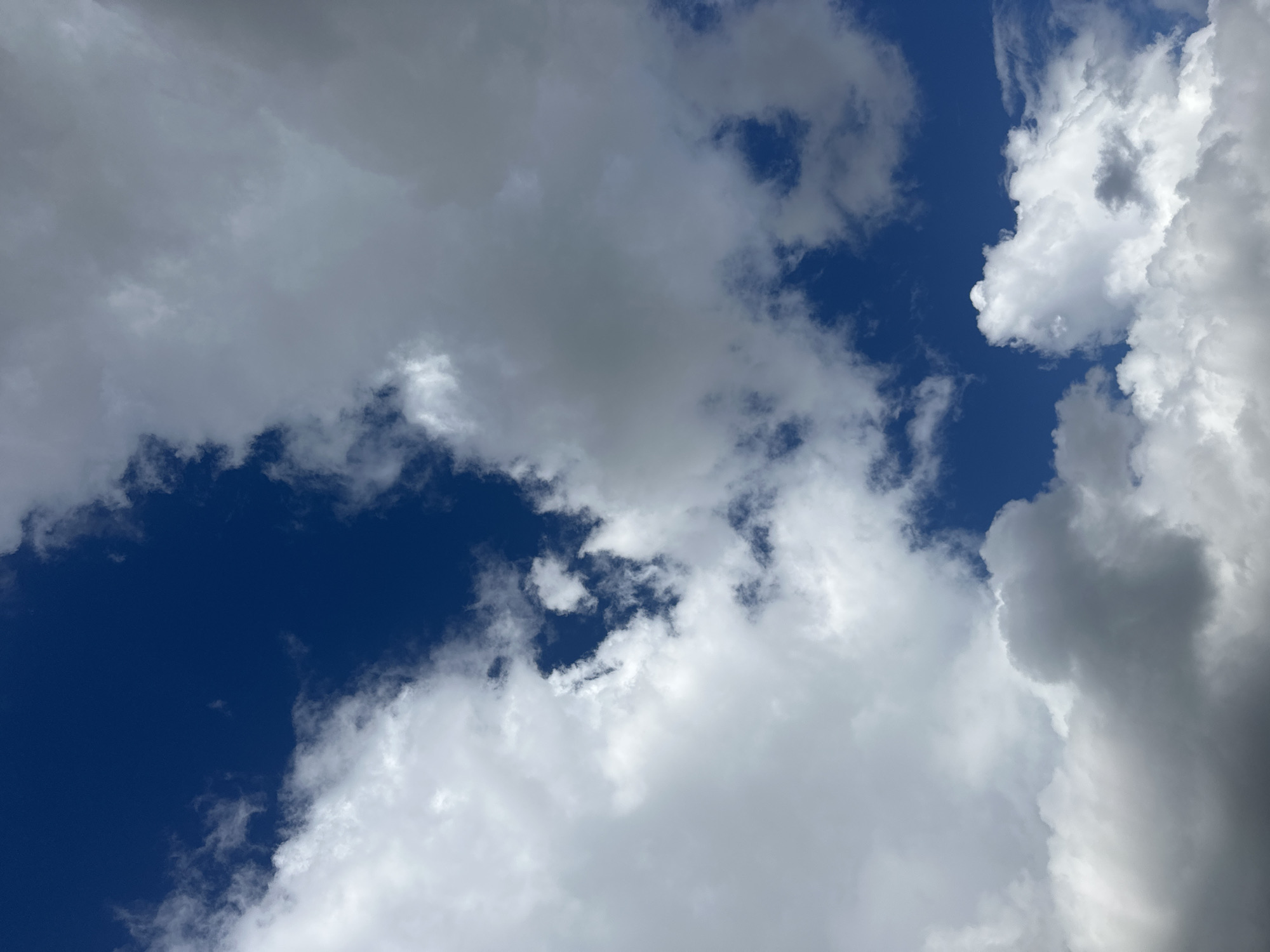 The image is a close-up, vertical shot of a vibrant blue sky filled with a mix of white and grey clouds. The clouds are fluffy and textured, with some appearing dark and heavy, suggesting possible rain. The sun is not visible, but its presence is indicated by the bright illumination of the clouds. There are no visible buildings, landmarks, or people in the frame. The image appears to be taken from ground level, looking directly upwards. The overall impression is one of a dynamic and overcast sky. Given the information provided, it is not possible to determine the specific location within the city of Minsk, Belarus.