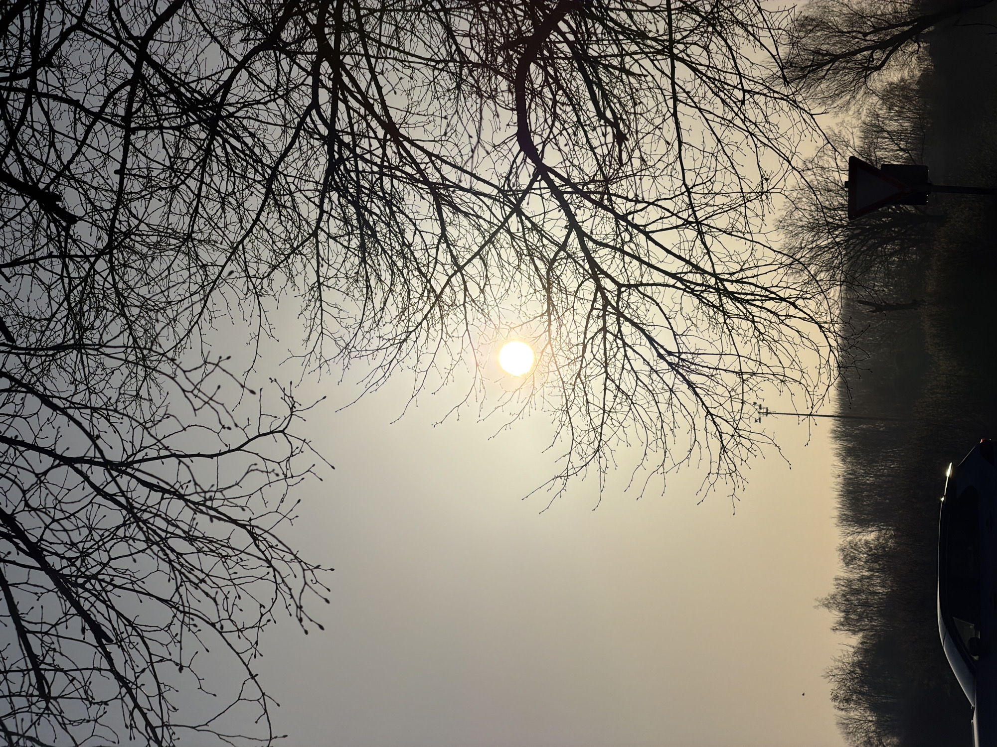 The image depicts an outdoor scene in Esch-sur-Alzette, Luxembourg, characterized by strong backlighting from a low sun. The upper half of the frame is dominated by a hazy sky, transitioning from a pale grey-blue in the top left to a desaturated yellow-orange towards the center-right. The sun is visible as a bright, circular, white-yellow orb in the mid-right portion of the sky, partially obscured by silhouetted tree branches.
A dense network of bare tree branches, devoid of leaves but displaying numerous small buds, is silhouetted in dark grey and black across the upper two-thirds of the image, extending from the top and right edges inward. These branches create a complex, intricate pattern against the lighter sky.
The lower half of the image presents a darker, silhouetted landscape. A dense line of trees forms a continuous, dark horizon line across the mid-ground. In the lower right quadrant, a triangular road sign, identifiable as a "Yield" sign (inverted white triangle with a red border), is visible, largely silhouetted and partially obscured by foreground branches. To its left, a tall, slender utility pole or lamppost stands vertically, also in silhouette. In the bottom left corner, the upper portion of a dark-colored passenger vehicle, possibly an SUV or hatchback, is present, with a distinct, bright reflection visible along its roofline and windshield edge due to the strong backlighting. No individuals are visible.