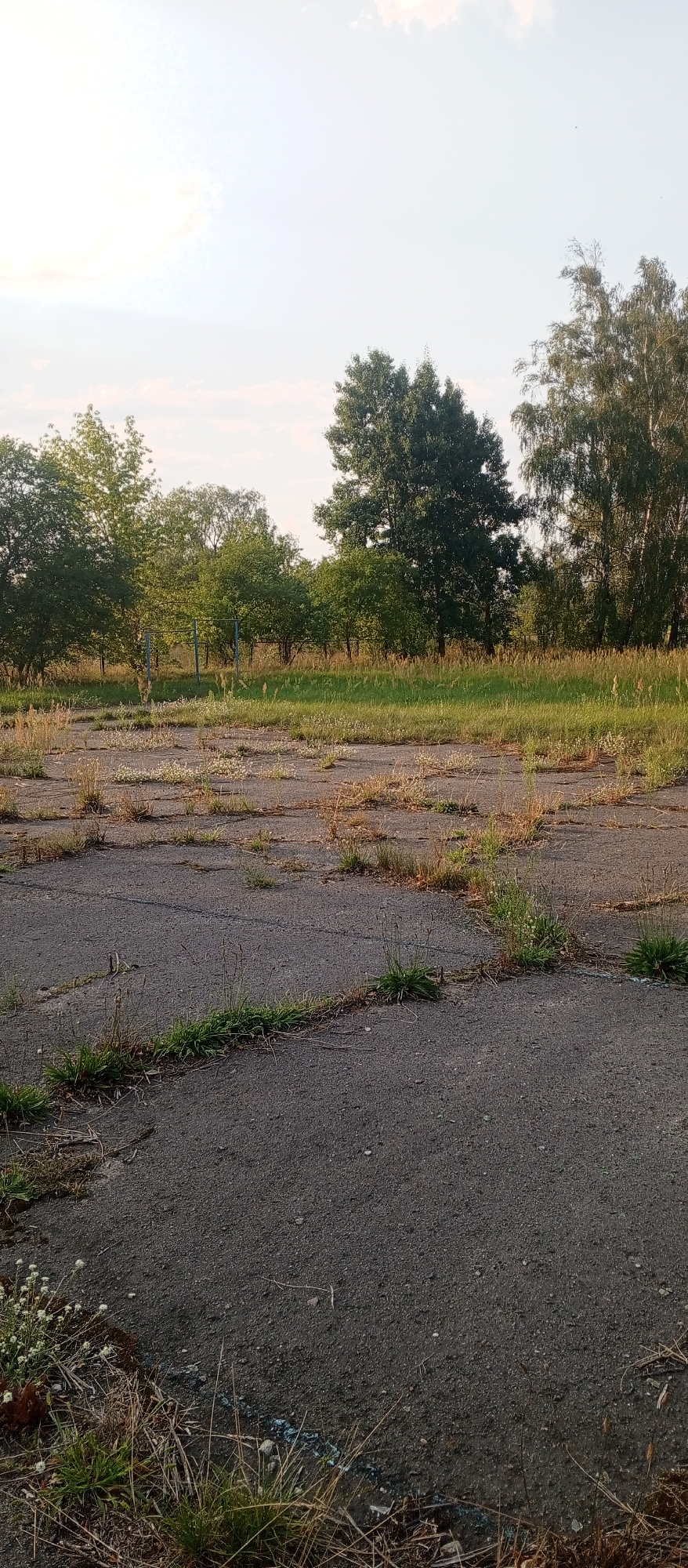 The image shows an outdoor scene in a somewhat overgrown area with cracked asphalt and sparse vegetation. In the foreground, cracked asphalt surfaces are visible with patches of dry grass and some small white flowers growing through the cracks. Behind the asphalt area, there is a strip of green grass and taller, dry reeds. Further in the background, a line of trees and bushes can be seen. The sky is bright and appears to be during the daytime, with some wispy clouds. A faint metallic structure, possibly part of a fence or goalpost, is visible between the trees. The overall impression is of an abandoned or underutilized open space with natural elements reclaiming the paved area. The scene appears to be located in the vicinity of Вярховіцкі сельскі Савет, Belarus.