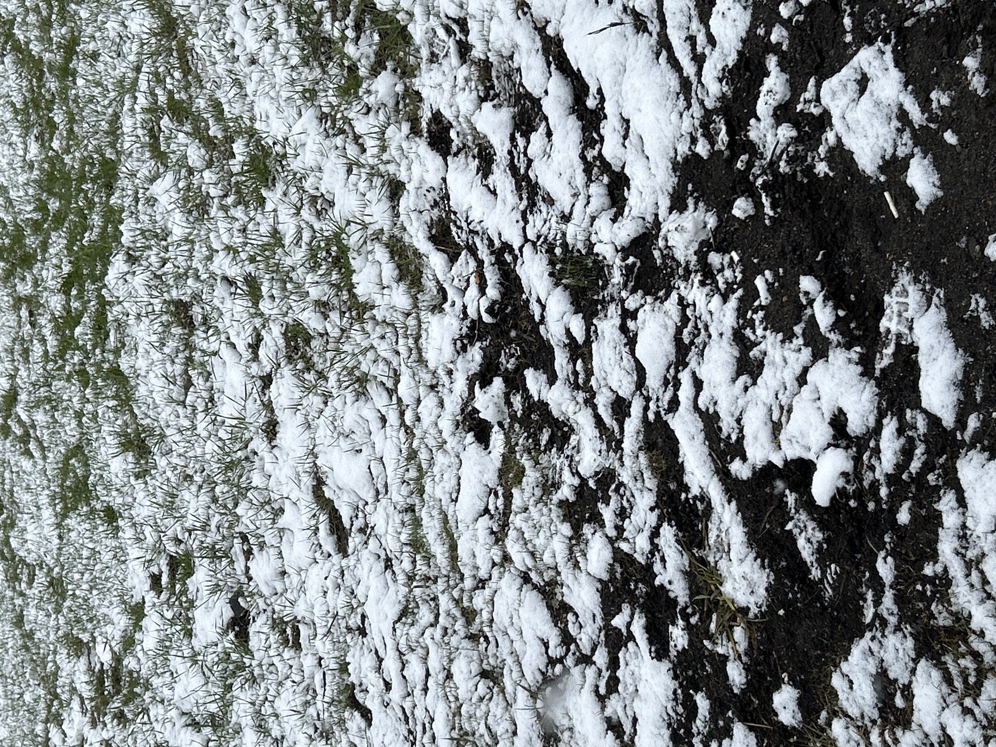 The image shows a patch of ground in what appears to be a park or field. The scene is partially covered in snow. On the left side, there is green grass emerging from under the snow. To the right, the ground is darker, possibly mud or soil, with patches of snow scattered across it. There is also a small white object in the dark ground, possibly a cigarette butt. The photograph may have been taken in St. Petersburg, Russia, but nothing in the image explicitly indicates this location.