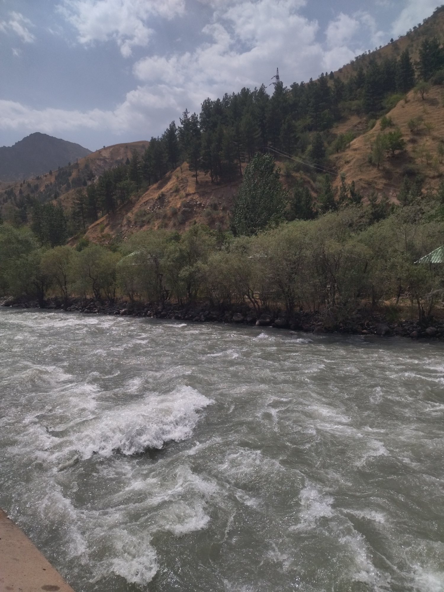 The image captures a wide, turbulent river flowing through a mountainous landscape in Varzob, Tajikistan. The water is a murky gray-green, with numerous whitecaps and rapids indicating a strong current. The riverbanks are lined with dark rocks and a dense growth of green trees. In the background, steep, dry, brown hillsides are covered with scattered green pine trees. The sky above is partly cloudy, with patches of blue visible between white clouds. A power line pylon is visible on one of the hillsides in the distance. The scene appears to be a natural, undeveloped area, likely part of the Varzob Gorge, known for its rugged terrain and flowing rivers.