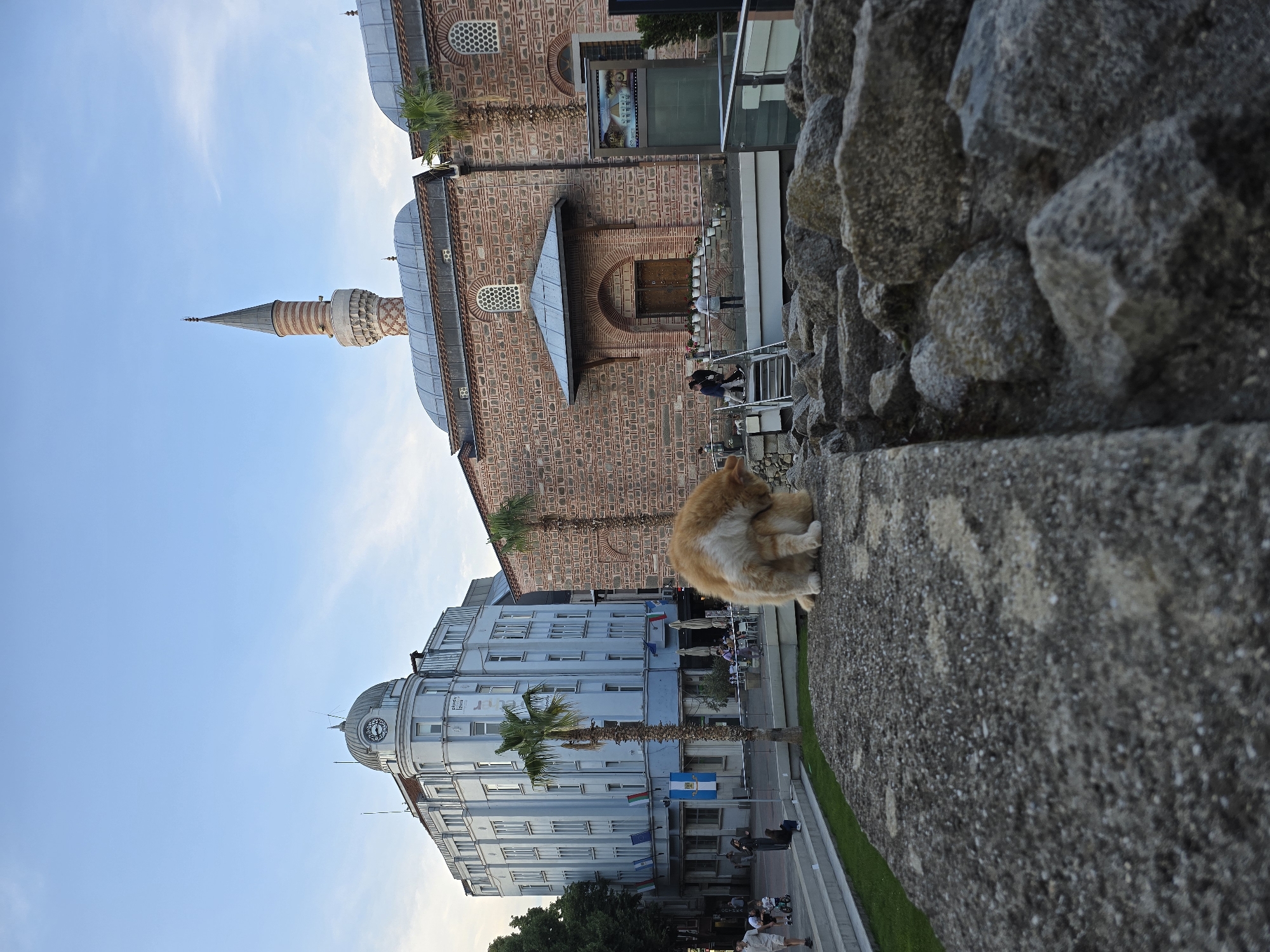 The image, rotated counter-clockwise, presents a vibrant urban scene featuring a mix of architectural styles under a bright, clear blue sky. In the foreground, a rough, grey stone wall or raised platform runs along the right side. Perched on this wall is a ginger and white cat, curled up and appearing to groom itself or rest.
In the midground, the scene opens to a public area flanked by two distinct buildings. On the left, a multi-story building with a light blue or grey facade stands out. It features a rounded corner topped with a dome-like structure that incorporates a clock face, suggesting a more modern or renovated European design. A tall palm tree stands in front of this building.
To the right, a historically significant building constructed of reddish-brown bricks with contrasting mortar lines dominates the view. This structure exhibits classic Ottoman or Islamic architecture, characterized by several arched windows and doorways, and multiple low, dark domes. A slender, ornate minaret, striped with alternating light and dark bands and topped with a pointed spire, rises majestically behind this brick building, indicating it is likely a mosque.
The area between these buildings appears to be a busy pedestrian zone or plaza. Several people are visible, some walking, others seated at outdoor tables, suggesting cafes or restaurants. Another palm tree is near the brick building, and a blue and white sign is visible in the public space.
The sky is predominantly clear blue with faint wisps of clouds, indicating fair weather. The lighting suggests it is daytime, possibly late afternoon.
Visible text includes small, indistinct writing on the blue building, where "ROSTE 2003" or similar words can be faintly discerned, along with other unreadable signs. The text on the blue and white street sign is also too small to be deciphered. The image captures a blend of historical and contemporary elements within a lively urban setting.