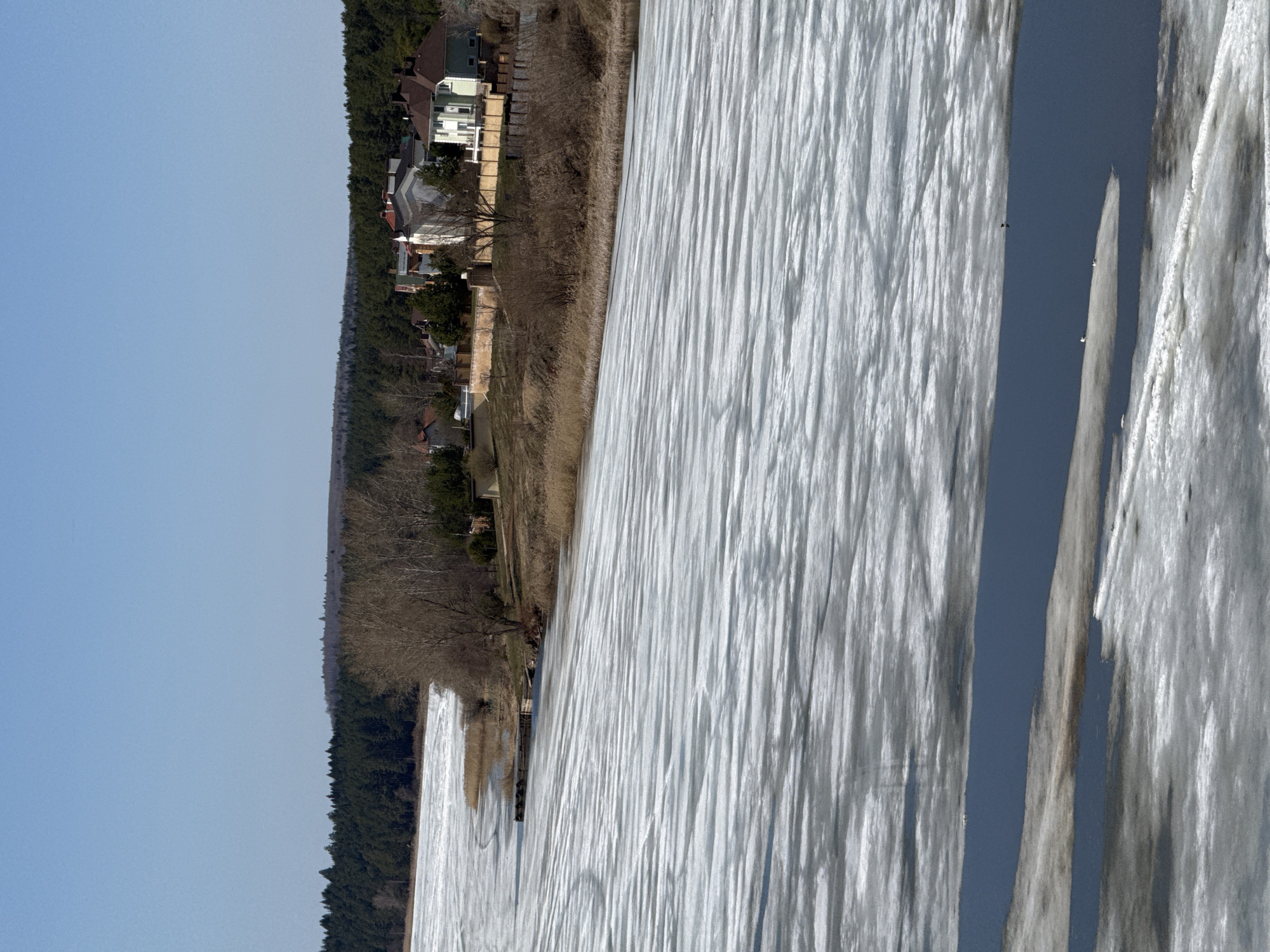 The image depicts a frozen body of water, likely a lake or reservoir, adjacent to a shoreline with vegetation and residential buildings. The ice surface exhibits a textured, striated pattern, potentially due to melting and refreezing. Some open water appears near the edge of the ice, revealing a dark blue color. On the shoreline, there's a mix of trees, shrubs, and grasses. Behind the vegetation, houses and other buildings are visible, indicating a residential area along the water's edge. The sky is clear and light blue.
While I cannot definitively confirm the location within Votkinsk, Russia without further information, the scene suggests a typical landscape found in regions with cold winters and water bodies near urban areas.