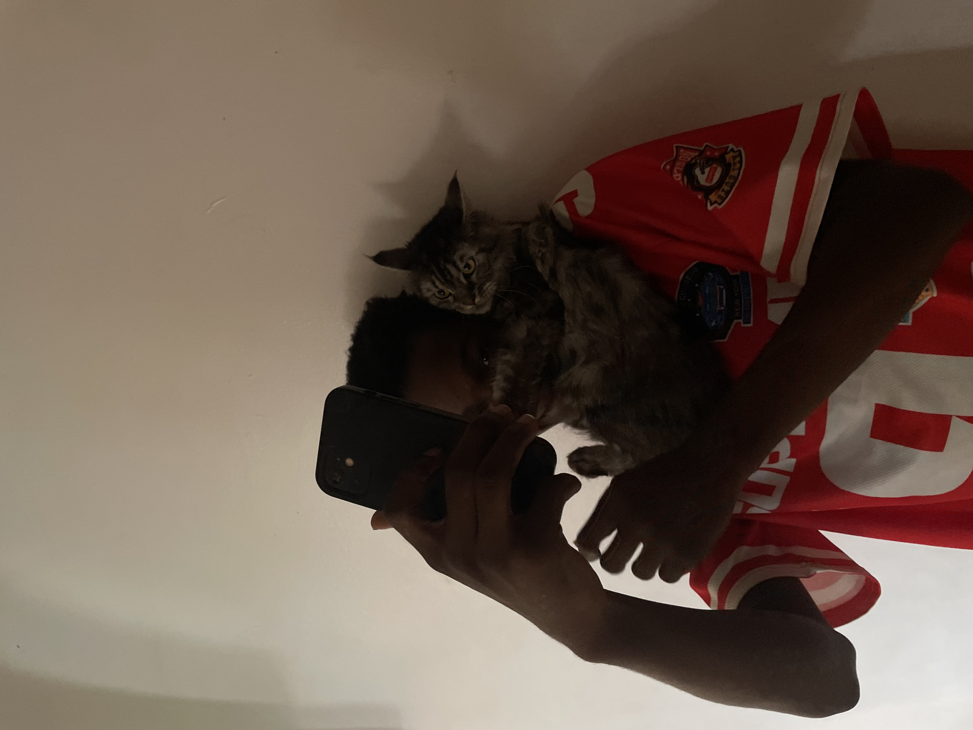 A person is lying down and taking a picture with their mobile phone of a gray tabby kitten perched on their chest. The person is wearing a red shirt with white accents. The location is not identifiable as Ado, Nigeria.