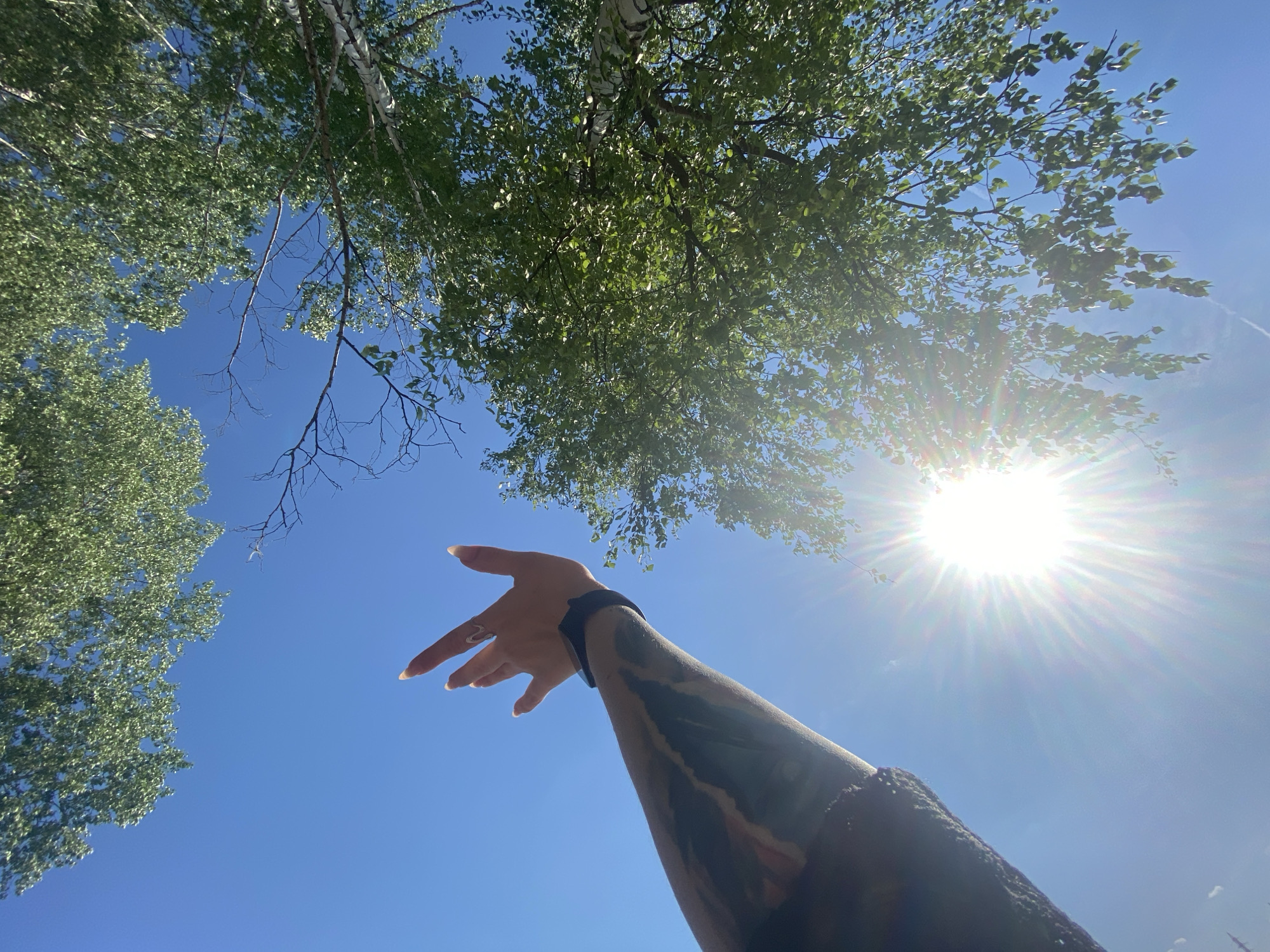 A low-angle shot captures a sunny, outdoor scene, likely taken in the city of Chaikovsky, Russia given the user prompt. The blue sky fills most of the frame, with bright sunlight radiating from the upper right corner. Green tree foliage is visible in the upper left and upper right of the image, obscuring the sunlight. A person's arm, partially obscured and extending toward the sun, is visible. The arm features dark tattoos. A black wristband is visible on the wrist. The fingers of the outstretched hand are spread open.