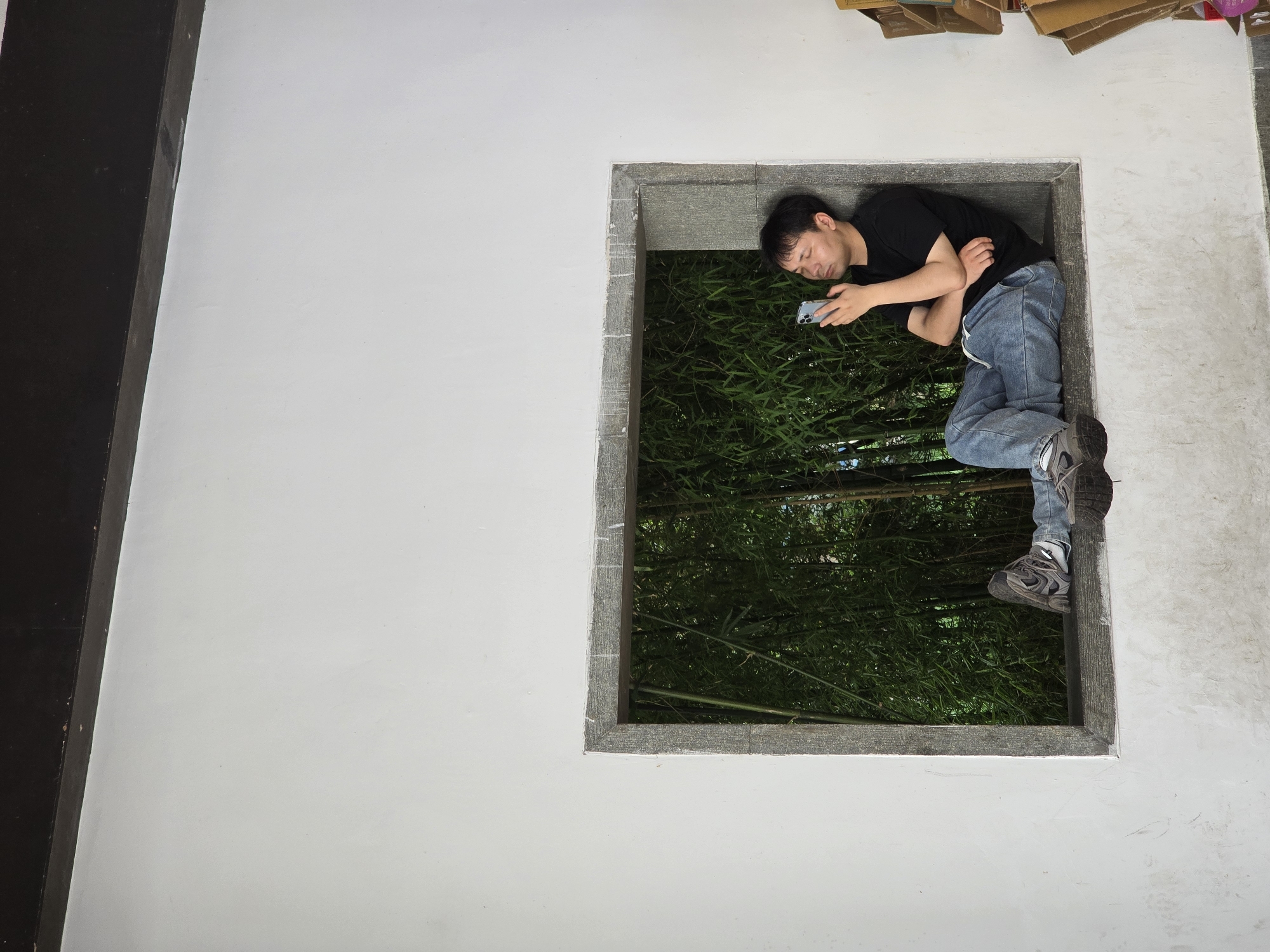 A young man is the central figure in this photograph, positioned across a rectangular window frame. He is dressed in a black t-shirt, blue jeans, and grey athletic shoes. With his eyes closed, suggesting sleep or deep relaxation, he holds a silver-colored smartphone with both hands. His body lies horizontally across the window opening, with his head and upper torso seemingly inside the structure and his legs extending towards the outside.
The window is set into a plain, light-colored (likely white) wall and features a distinct, rough-textured grey stone or concrete frame. Beyond the window, a dense and vibrant bamboo grove creates a lush green backdrop. A large expanse of the white wall fills the left side of the frame. In the far left, a dark vertical structure, possibly a beam or door frame, is partially visible. The upper right corner of the image shows several stacked cardboard boxes, indicating a potentially utilitarian or less tidy area.
The image's unique vertical orientation implies that the man is lying horizontally on a window sill or ledge, and the photo was taken with a tilted camera. The scene captures a moment of rest or slumber, with the man's attention still on his smartphone, juxtaposed against a serene natural environment of bamboo. The lighting suggests it is daytime. No visible text is present on any subjects or objects.