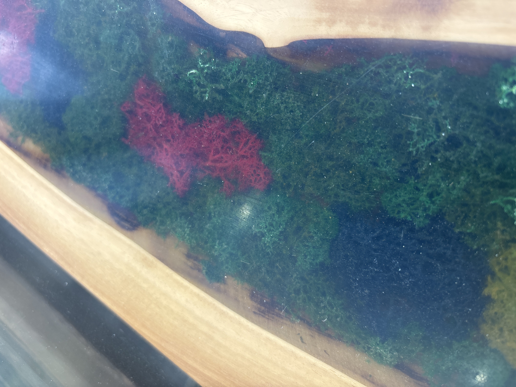 A close-up, angled shot of a table surface. The table consists of two wooden planks separated by a clear, resin-filled space. The resin contains green and red moss. The wood is light-colored. No people are visible. The location is unknown, with no elements suggesting it is in Plovdiv, Bulgaria.