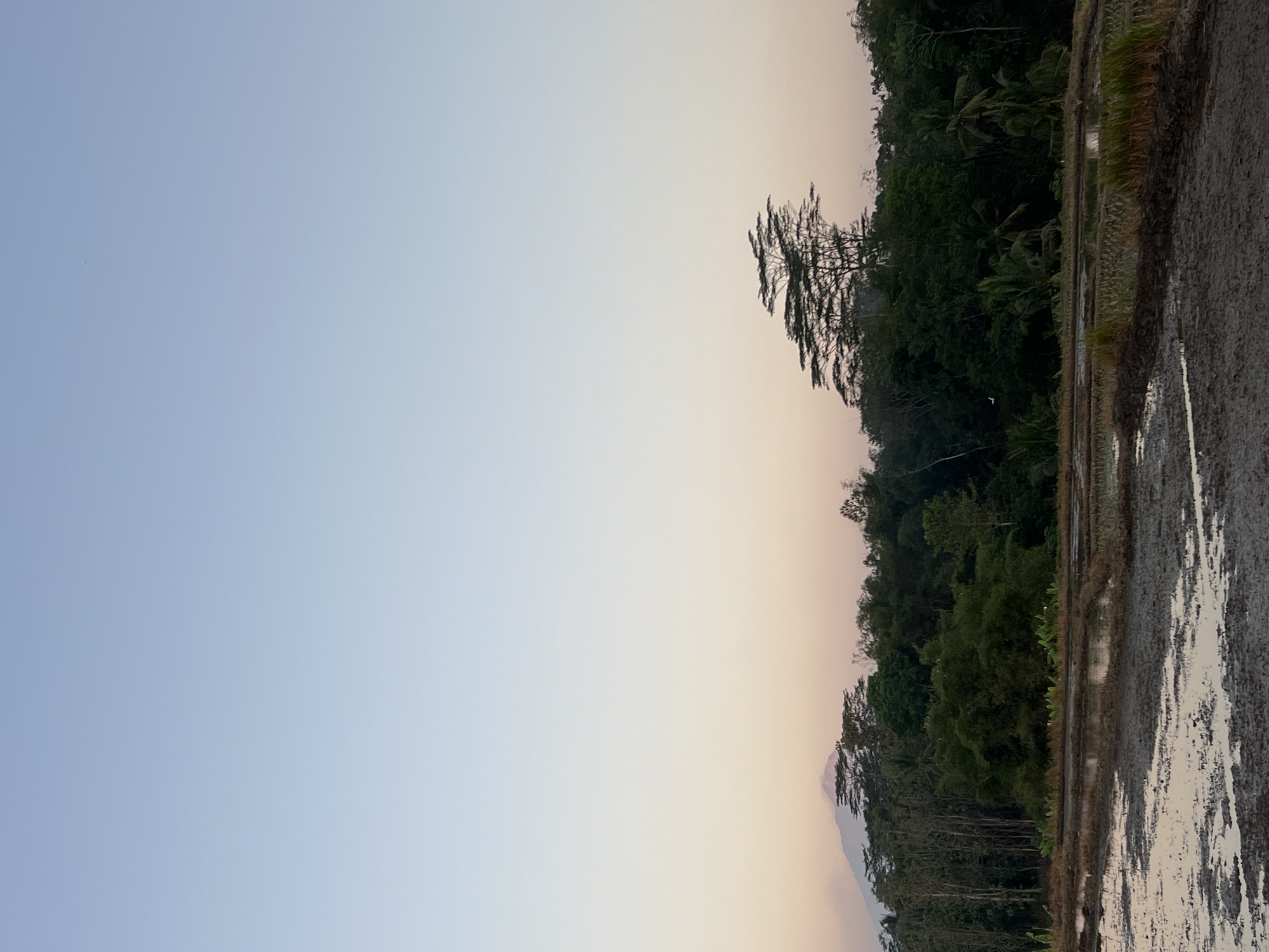 The image depicts a landscape scene at sunset in Kalijoso, Indonesia. The foreground shows a muddy rice paddy field with reflections of the sky. A line of trees and lush vegetation forms the middle ground, with a mountain visible in the distance on the left. The sky is a gradient of pale blue and soft orange, characteristic of twilight. There are no people or animals visible in the frame.