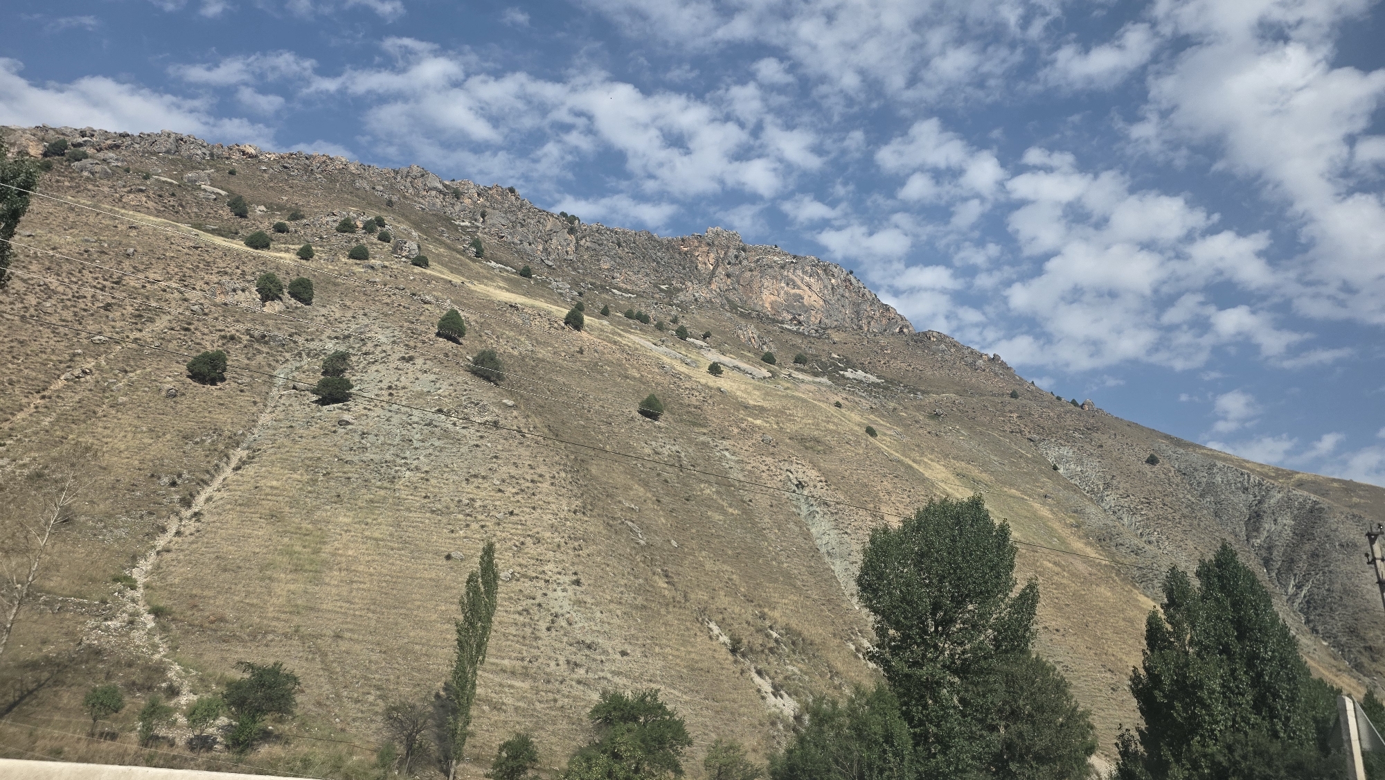 The image depicts a natural landscape under a bright, partly cloudy blue sky. A steep, rocky mountainside dominates the frame, covered in dry, yellow-brown vegetation and scattered with small, dark green trees. Power lines run diagonally across the slope. At the bottom of the frame, lush green trees and foliage contrast with the arid mountain. The scene is indicative of a natural, mountainous environment, likely within the vicinity of Zhyly-Suu, Kyrgyzstan, known for its mountainous terrain and natural springs. No people or specific actions are visible.