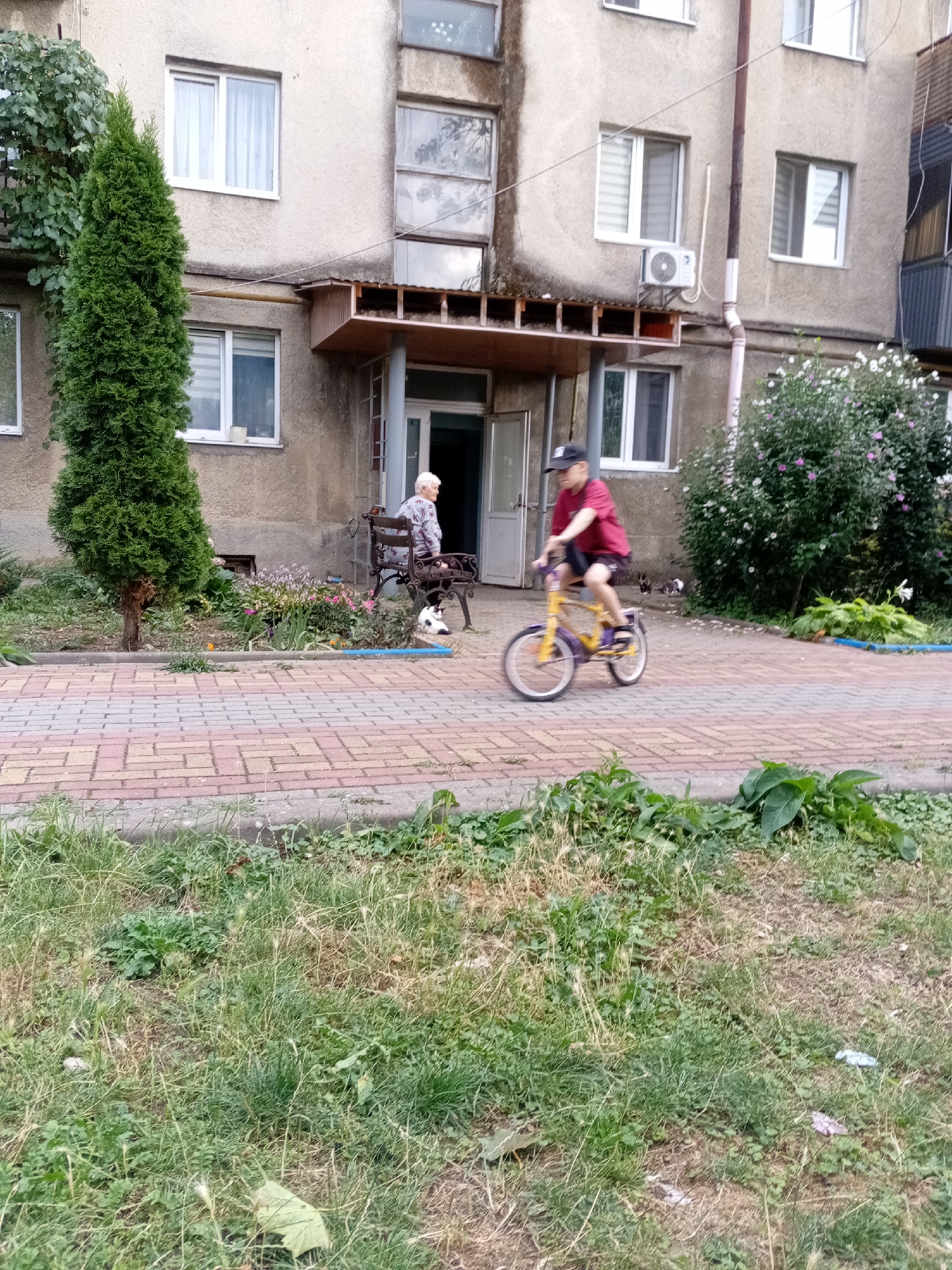 In Tiachiv, Ukraine, a boy in a red shirt and black cap rides a yellow and purple bicycle past a building. He is in motion, blurred in the image, on a paved walkway in front of the building. To his left, an older woman sits on a dark metal bench, facing away from the camera, next to a black and white dog. Behind the woman, a narrow, tall evergreen tree stands. The building is a multi-story structure with beige walls and numerous windows. A small, white air conditioning unit is mounted on the wall near an awning above an entrance. To the right of the building, a bush with pink and white flowers is visible. The foreground is a grassy area with some weeds and scattered debris. The overall scene depicts a residential area in Tiachiv, Ukraine.