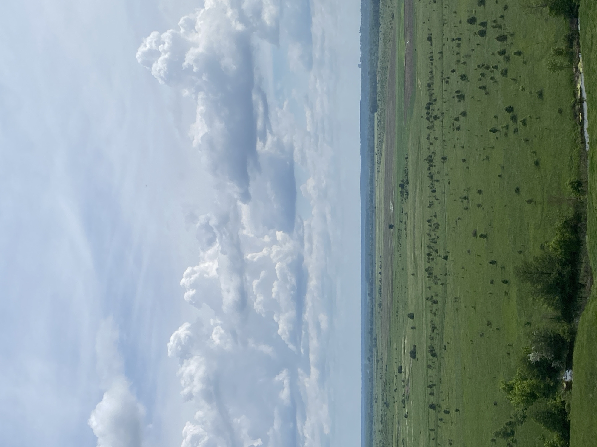The image depicts a landscape scene. In the foreground, there is a large expanse of green field interspersed with scattered trees. A narrow, brown strip of land runs through the field, possibly a path or tilled area. Adjacent to the field on the right, there are more densely packed trees and some indication of a water source. The sky occupies a substantial portion of the image, filled with puffy white clouds against a blue background. Based on the prompt, the location is Ustyvytsia, Ukraine. There are no people visible in the image.