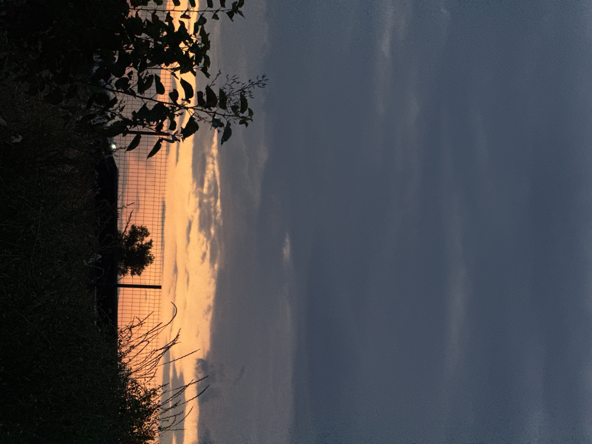 This is a photograph of a sunset taken in the city of Tbilisi, Georgia. The sky is a dramatic gradient of dark gray clouds at the top transitioning to a warm orange and yellow hue near the horizon. In the foreground, silhouetted against the vibrant sky, are dark green foliage and tall grasses. A wire fence stretches across the middle ground, separating the vegetation from a dark landscape beyond. In the far distance, a solitary tree is visible, also in silhouette. The overall impression is one of a serene and slightly moody twilight scene.