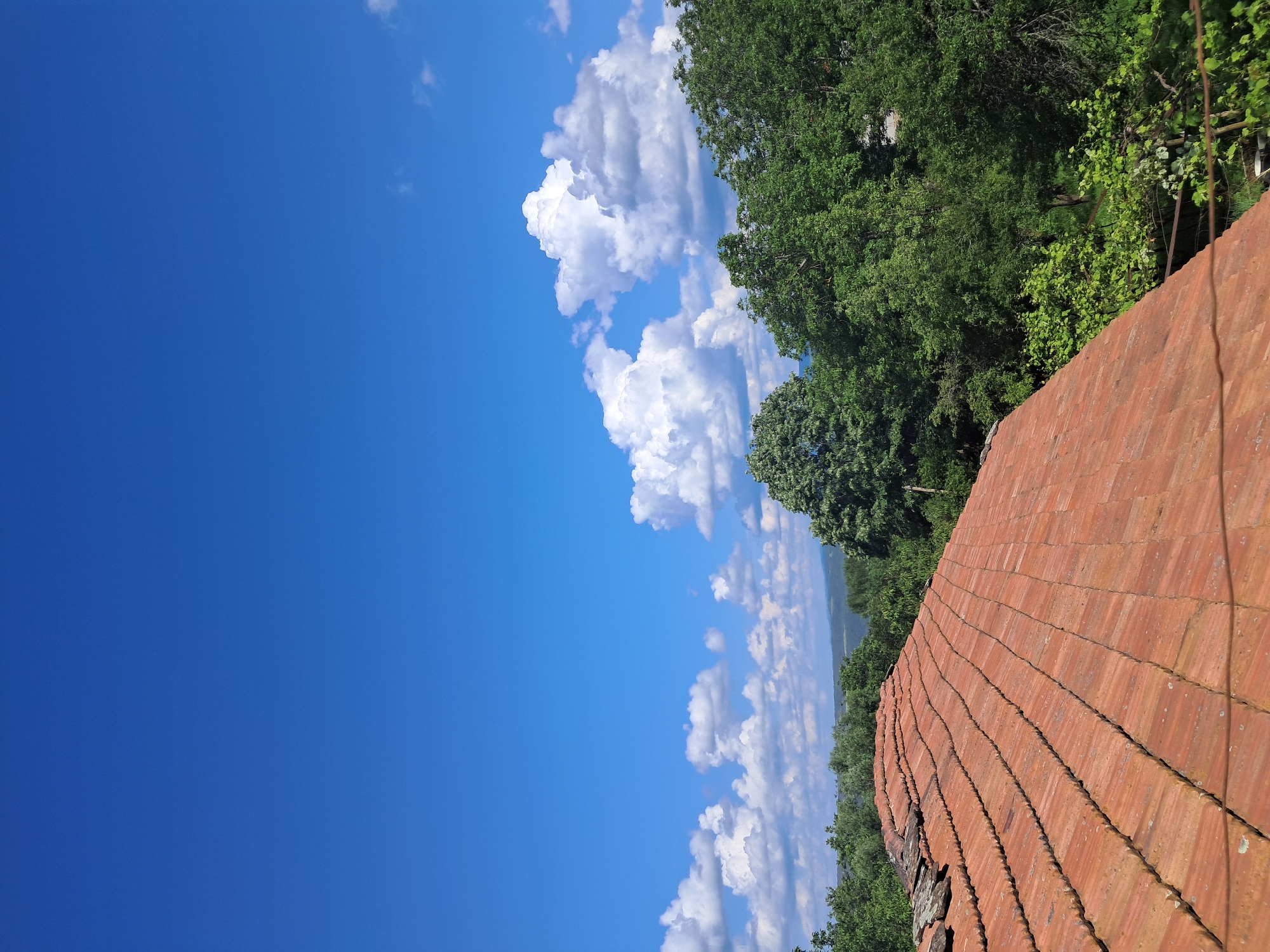 This image, captured in Seykovtsi, Bulgaria, presents an elevated view of a landscape under a clear, vivid blue sky with scattered white cumulus clouds populating the lower half, particularly on the right. The foreground features the upper section of an aged, reddish-orange tiled roof, composed of traditional curved clay tiles laid in horizontal rows, exhibiting minor deterioration and dislodged elements at its peak. Immediately beyond the roof and extending into the midground is a dense, lush canopy of various green trees and foliage, with distinct tree crowns visible. In the far distance, a chain of hazy, forested hills is discernible beneath the horizon. The scene is brightly illuminated by natural daylight, indicating daytime conditions. No people or specific actions are visible.