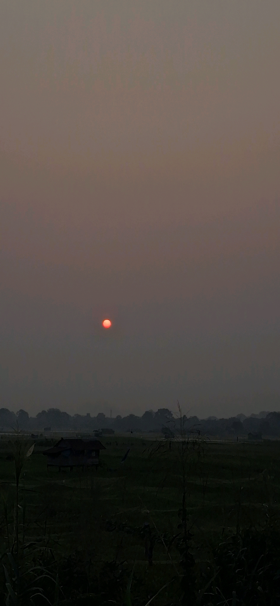 The image depicts a hazy sunrise over a rural landscape, likely in the outskirts of Jambi, Indonesia. A small, reddish-orange sun is visible in the upper central portion of the sky, partially obscured by atmospheric haze. Below the sun, a dark, silhouetted treeline stretches across the horizon. In the foreground, a dark green field is visible, with a small, wooden structure with a dark roof situated on the left side of the frame. The overall impression is one of a quiet, early morning scene in a non-urban setting.