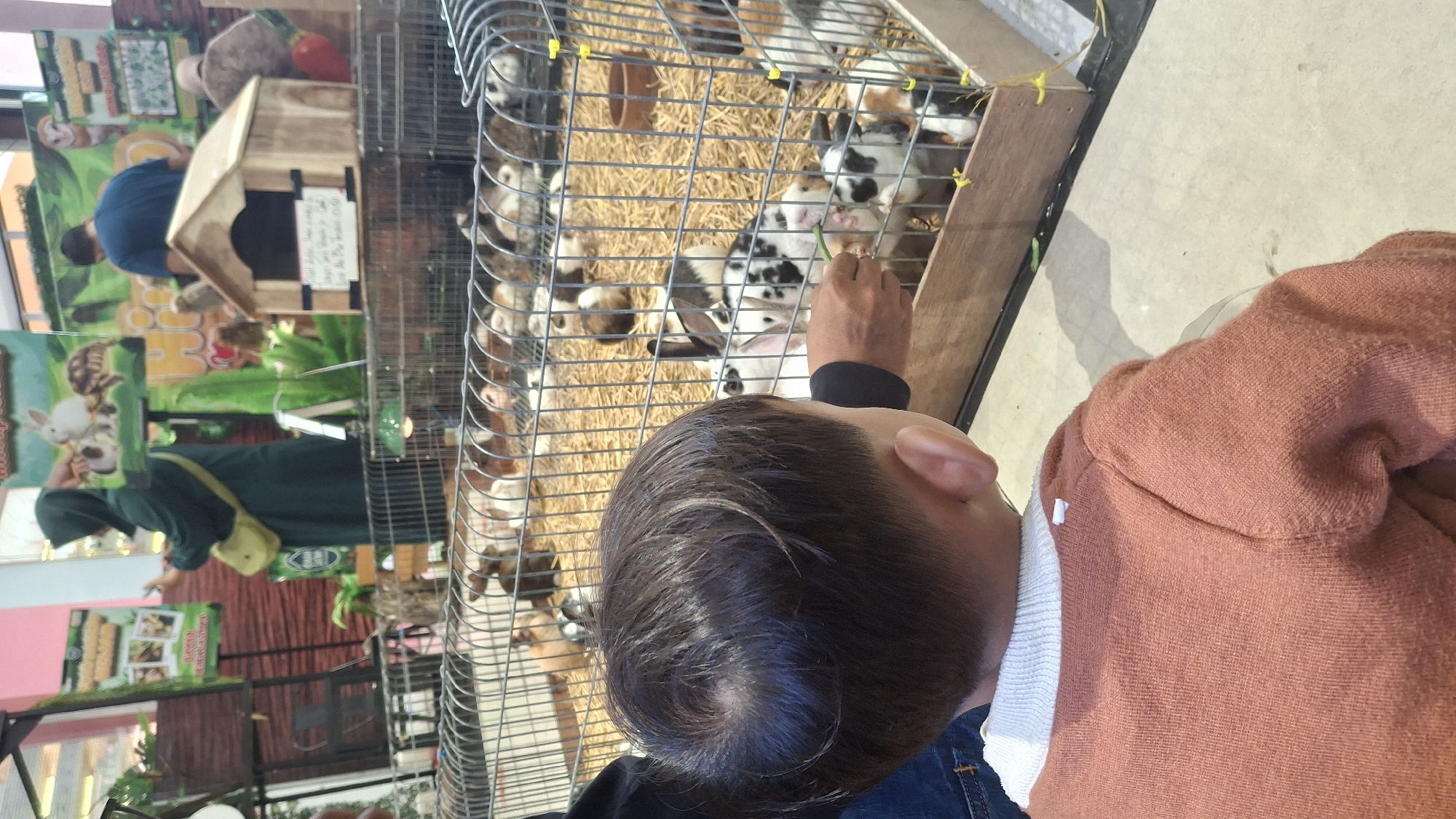 The image depicts a child feeding small animals, likely rabbits and guinea pigs, at an animal exhibit in Kecamatan Pati, Indonesia. The child, viewed from behind, wears an orange sweater and white collared shirt. The animals are housed in wire cages filled with straw, and the child's hand is extended through the cage, offering food. In the background, several adults are present, including a woman in a green hijab and a man in a blue shirt. Behind them, posters and a small wooden house for the animals are visible. The environment appears to be an indoor market or exhibition space, with a concrete floor.