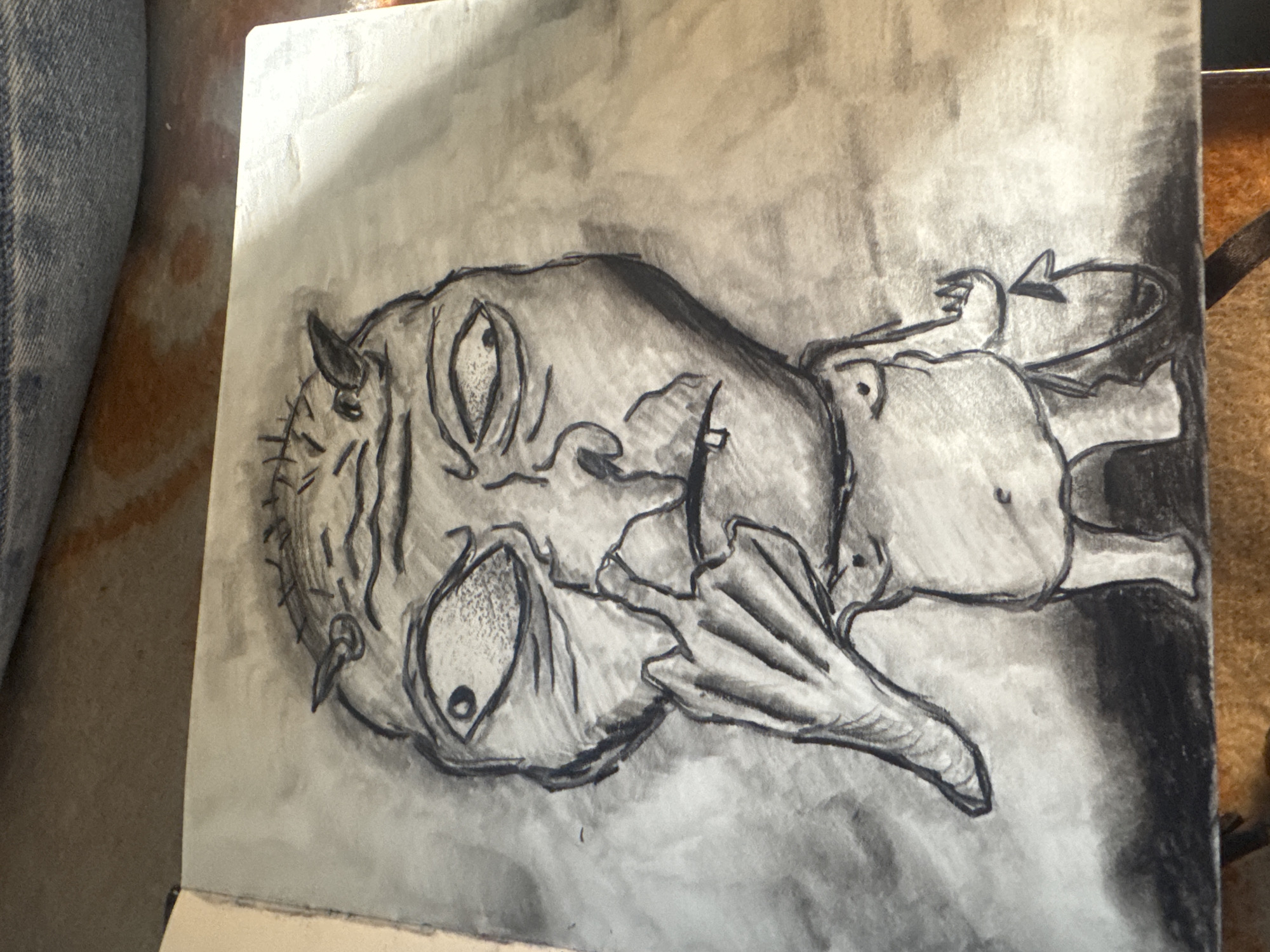 The image displays a charcoal drawing on paper. The drawing depicts a grotesque, creature-like figure with large, uneven eyes, a pointed nose, a wide, toothy grin, and small horns on its head. The figure has a spiky texture on its head and possesses bat-like wings and a devilish tail. The drawing is rendered in shades of grey and black, with some areas smudged to create depth and shadow. The paper appears to be slightly aged or textured. The drawing is oriented horizontally within the frame. The background of the drawing is a softly blended grey, suggesting a smoky or atmospheric effect. The drawing itself is positioned on a surface, and a small portion of what appears to be blue denim fabric is visible to the left of the drawing. The bottom edge of the drawing shows a slight thickness, indicating it may be part of a sketchbook or a thicker paper. The overall scene does not provide any information or context that would allow for the determination of its location in the city of Taganrog, Russia.
