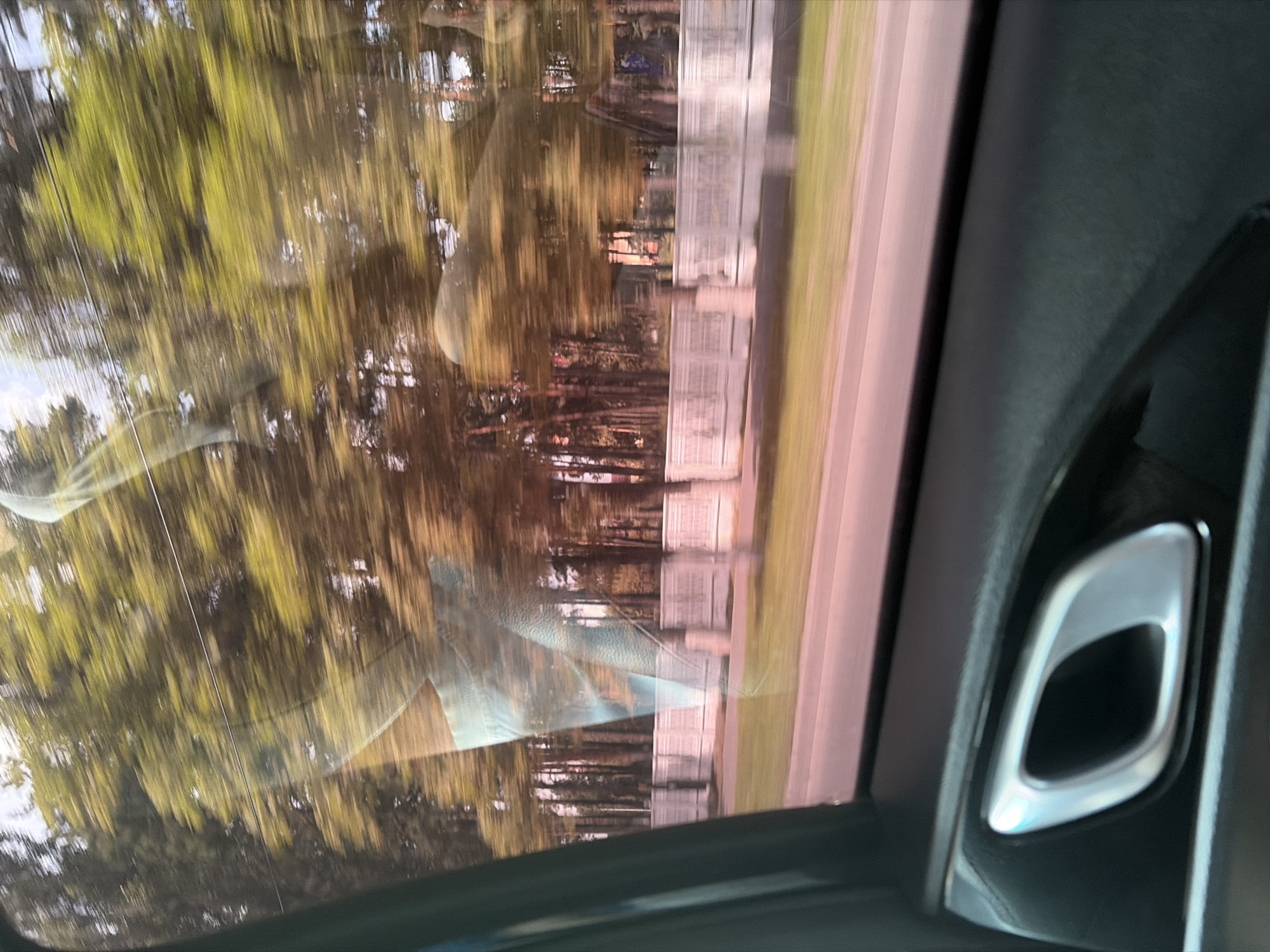 The image is a vertical, blurry shot taken from inside a vehicle, likely through a sunroof or windshield. The primary subjects are the reflections on the glass and the surrounding interior of the car.
The reflections create a distorted view of an outdoor scene. Trees with green and brown foliage are visible, suggesting a temperate climate and possibly daytime. There are also hints of man-made structures, appearing as pale, rectangular shapes arranged in a row, possibly buildings or fences. The motion blur indicates the vehicle is in transit.
The interior of the car is visible on the right side of the frame, with a dark-colored, textured material forming the edge of the window or roof. A silver handle or trim piece is prominently featured in the lower right corner, with an oval opening.
There are no people visible. The activity is movement, implied by the blur. The time of day appears to be daylight, and the weather seems to be clear enough to allow for reflections of the outdoors. Location cues are limited to the general impression of a natural setting with some developed structures, consistent with a roadside view in Bryansk, Russia. No text is discernible in the image.