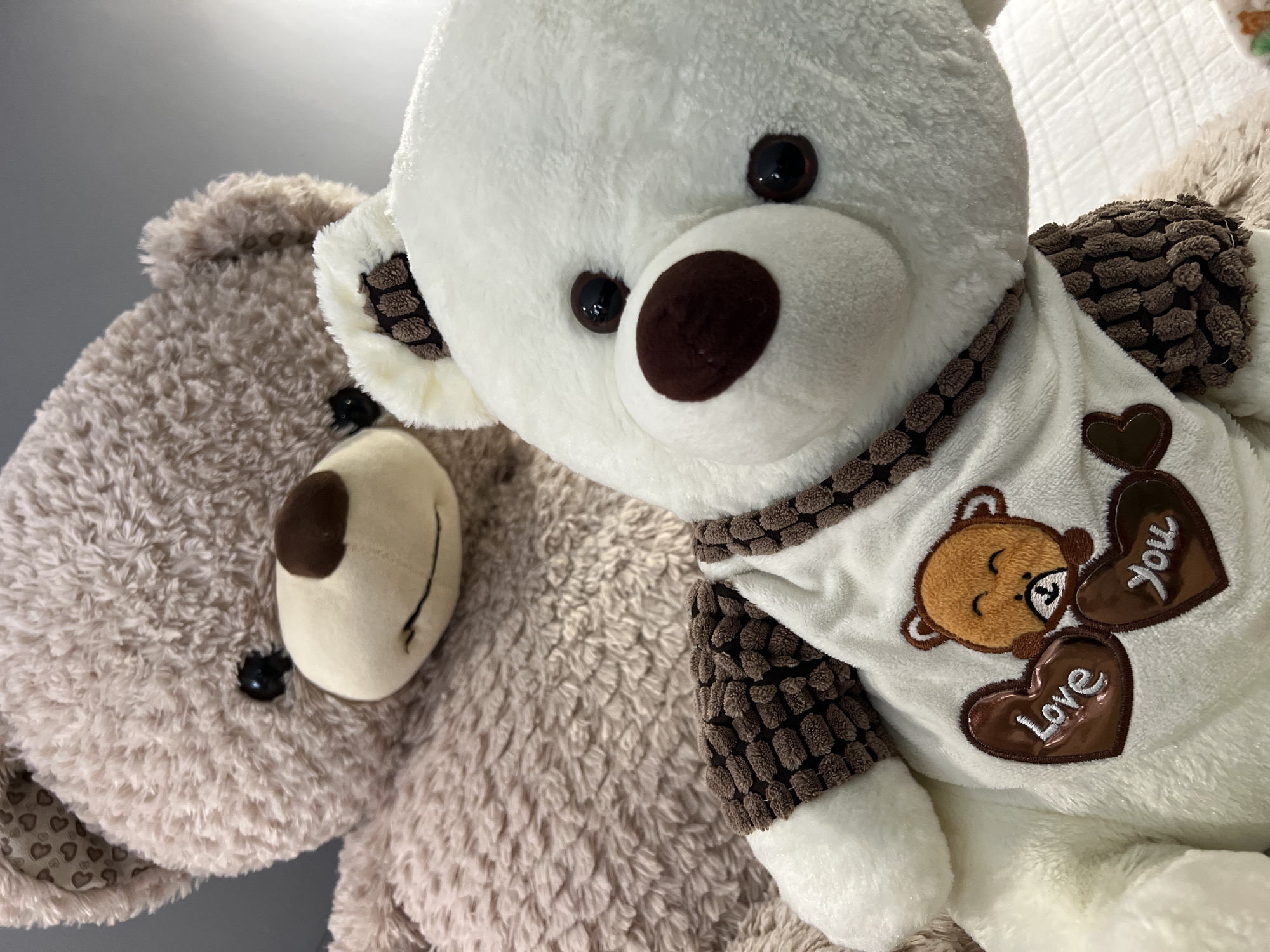 Two plush teddy bears are depicted in a close-up, angled shot. In the foreground, positioned slightly to the right, is a white teddy bear with dark, round eyes and a brown nose. It is wearing a white sweater trimmed with a textured brown, nubbly fabric around the neckline and cuffs. The sweater features an embroidered design: a smaller, sleeping brown teddy bear head and two brown heart shapes. One heart has the word "You" written on it, and the other says "Love".
Behind and slightly to the left, a light brown or beige teddy bear is partially visible. Its left eye, brown nose, and cream-colored snout with a stitched smile are discernible. Its fur appears softer and more ruffled than the white bear's. Part of its inner ear, lined with a fabric patterned with small hearts, can be seen.
The bears are positioned close together, creating a sense of companionship and warmth. The background is softly blurred with neutral grey and white tones, suggesting an indoor setting, possibly on a bed or a soft surface. The overall lighting is soft and even. The scene evokes feelings of comfort and affection. The image was taken in Plovdiv, Bulgaria.
