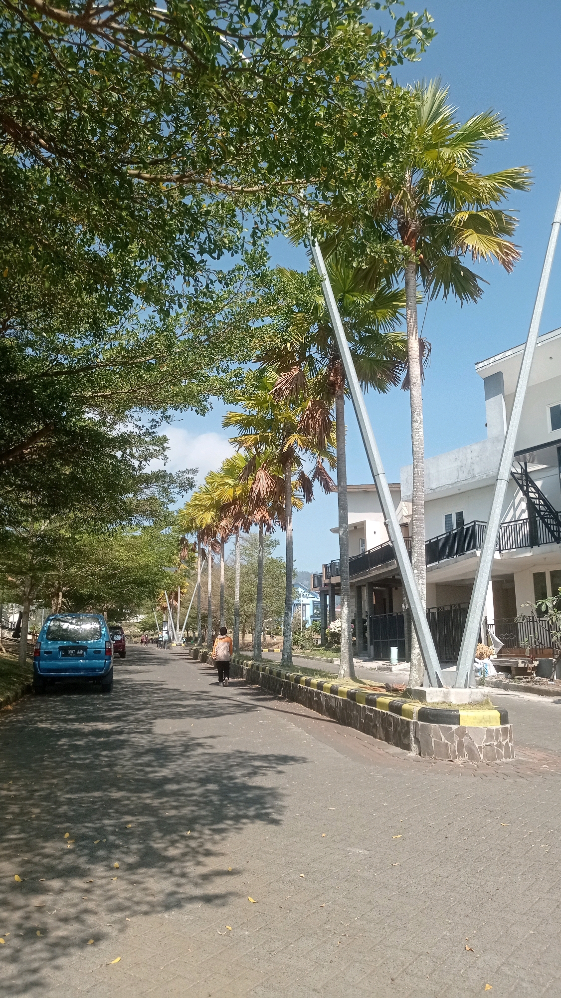 The image depicts a street scene in Batu, Indonesia, characterized by a row of palm trees lining the right side of the road. The road is paved and appears to be a residential or commercial area, with buildings visible on the right and trees on the left. A light blue minivan is parked on the left side of the road. In the distance, a person is walking away from the camera, dressed in an orange and white shirt and carrying a backpack. The sky is clear and blue, suggesting a sunny day. The vegetation is lush and green, with shadows from the trees falling on the road. The overall impression is one of a well-maintained urban environment with a tropical feel.