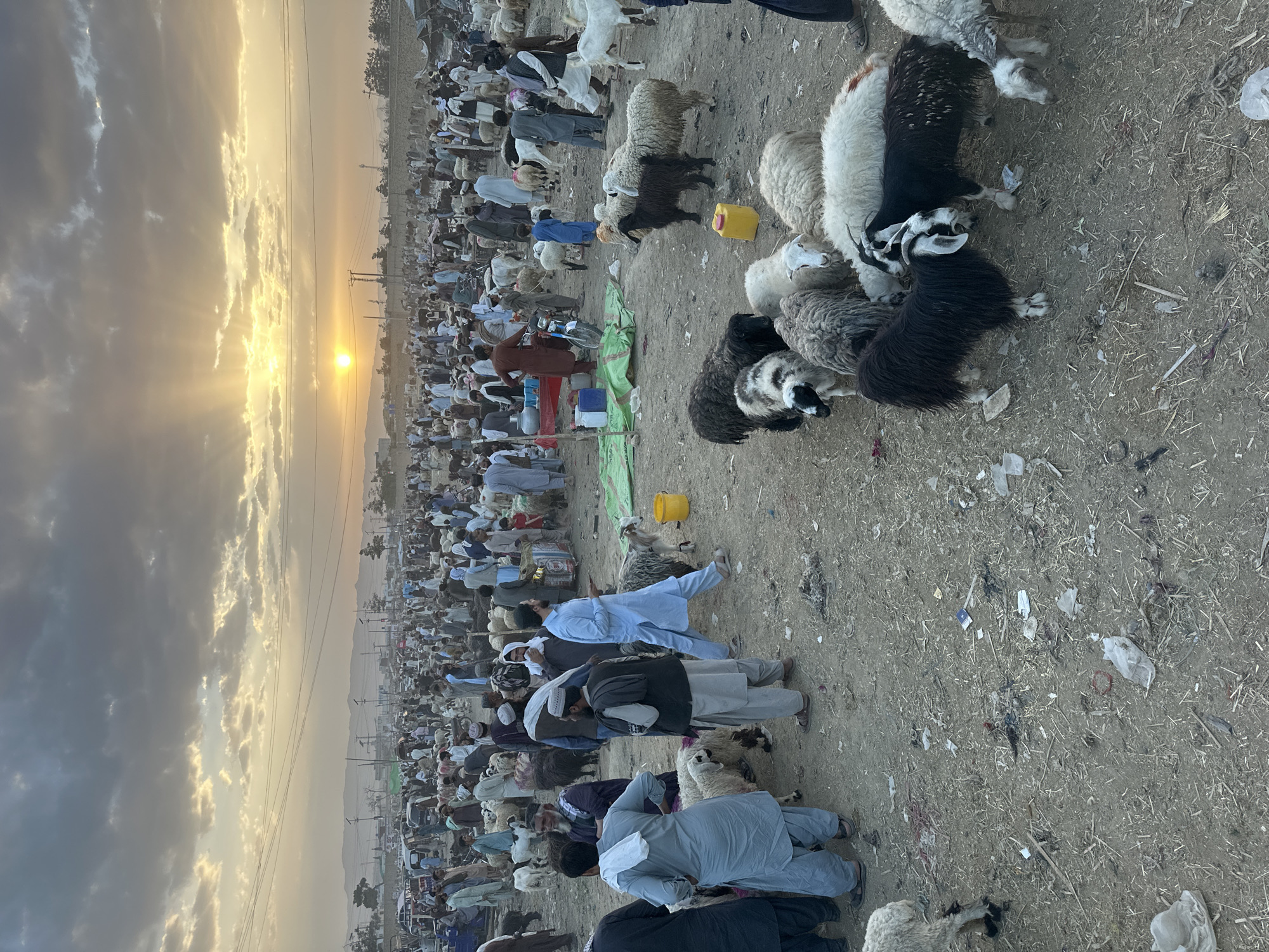 The image depicts an outdoor market scene in Quetta City Tehsil, Pakistan, likely during the day given the visible sunlight. A large crowd of people, mostly men, are present, many wearing traditional clothing such as shalwar kameez and hats or turbans. The focal point is on several sheep, some in a huddle, with varying colors and markings, mostly white, black and gray. Scattered on the ground is debris, including plastic bags and organic matter, possibly hay or straw. There are yellow buckets and other miscellaneous items spread around the market area. In the background, there are more people and sheep, extending to the horizon where power lines and a hazy sky with the sun are visible. The overall scene suggests a bustling livestock market.