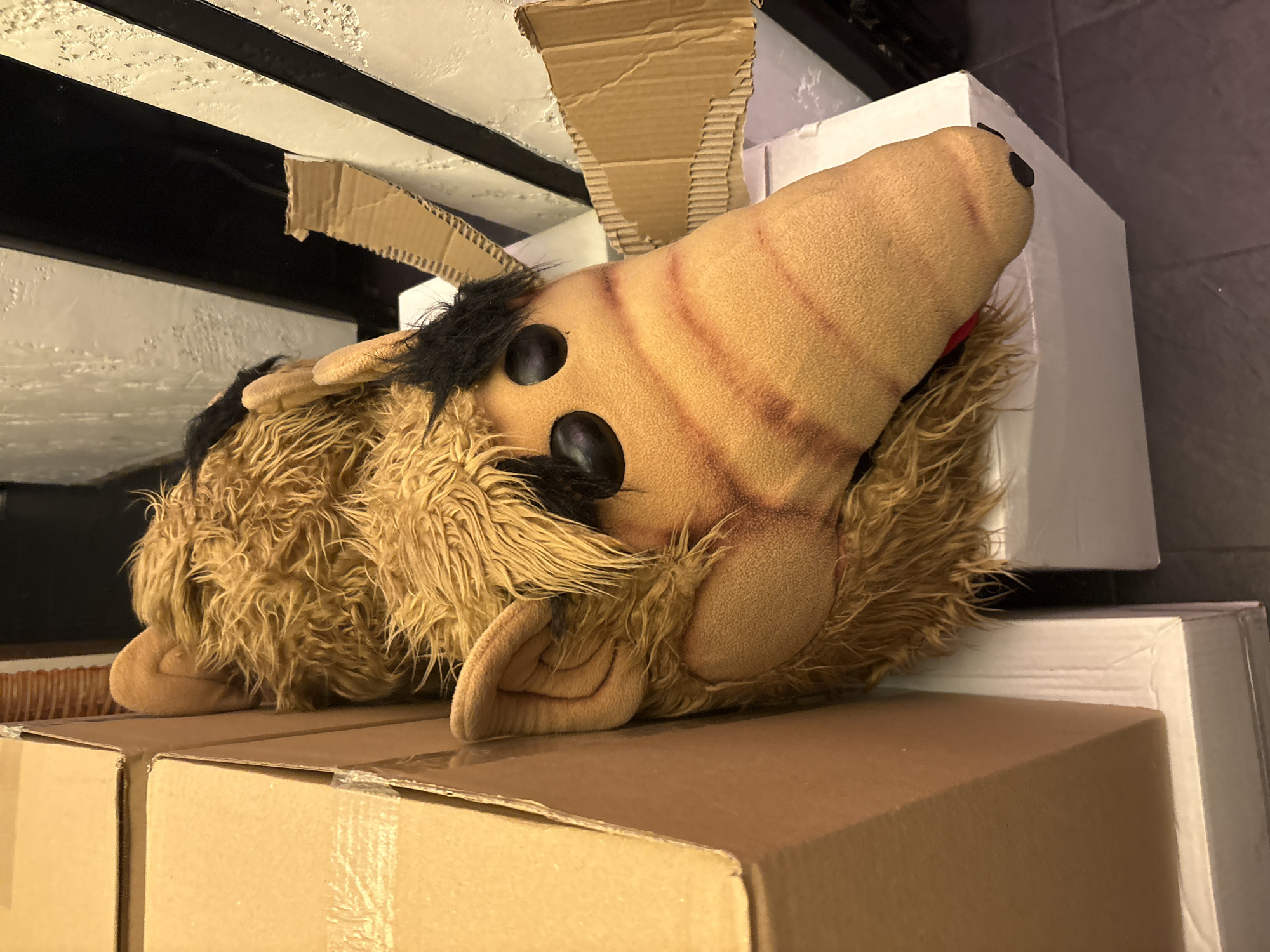 This media file captures an ALF plush toy resting on cardboard boxes in an indoor setting. The primary subject is the ALF plush, characterized by its distinctive tan, ridged snout, two black oval eyes, and shaggy brown fur. A patch of black fur acts as hair on top of its head, and small, roundish ears are visible. A hint of red fabric can be seen beneath its snout.
The plush is lying horizontally, slightly tilted, on top of two brown cardboard boxes that appear taped shut. Behind and to the right of the ALF toy, several white cardboard boxes are stacked. Above the plush, a textured white ceiling or shelf with black stripes is visible, from which pieces of corrugated cardboard protrude, suggesting a temporary setup or packaging materials. The surface to the right of the boxes is a dark gray, possibly tiled floor or another part of the setting.
No specific activity or event is taking place; the plush simply appears to be stored or placed on the boxes. The time of day is indeterminate, typical of an indoor scene relying on artificial lighting. There are no visual cues within the image to suggest the provided location context of Plovdiv, Bulgaria. No visible text is present on the plush or any of the boxes. The overall impression is a static, organized storage scene.