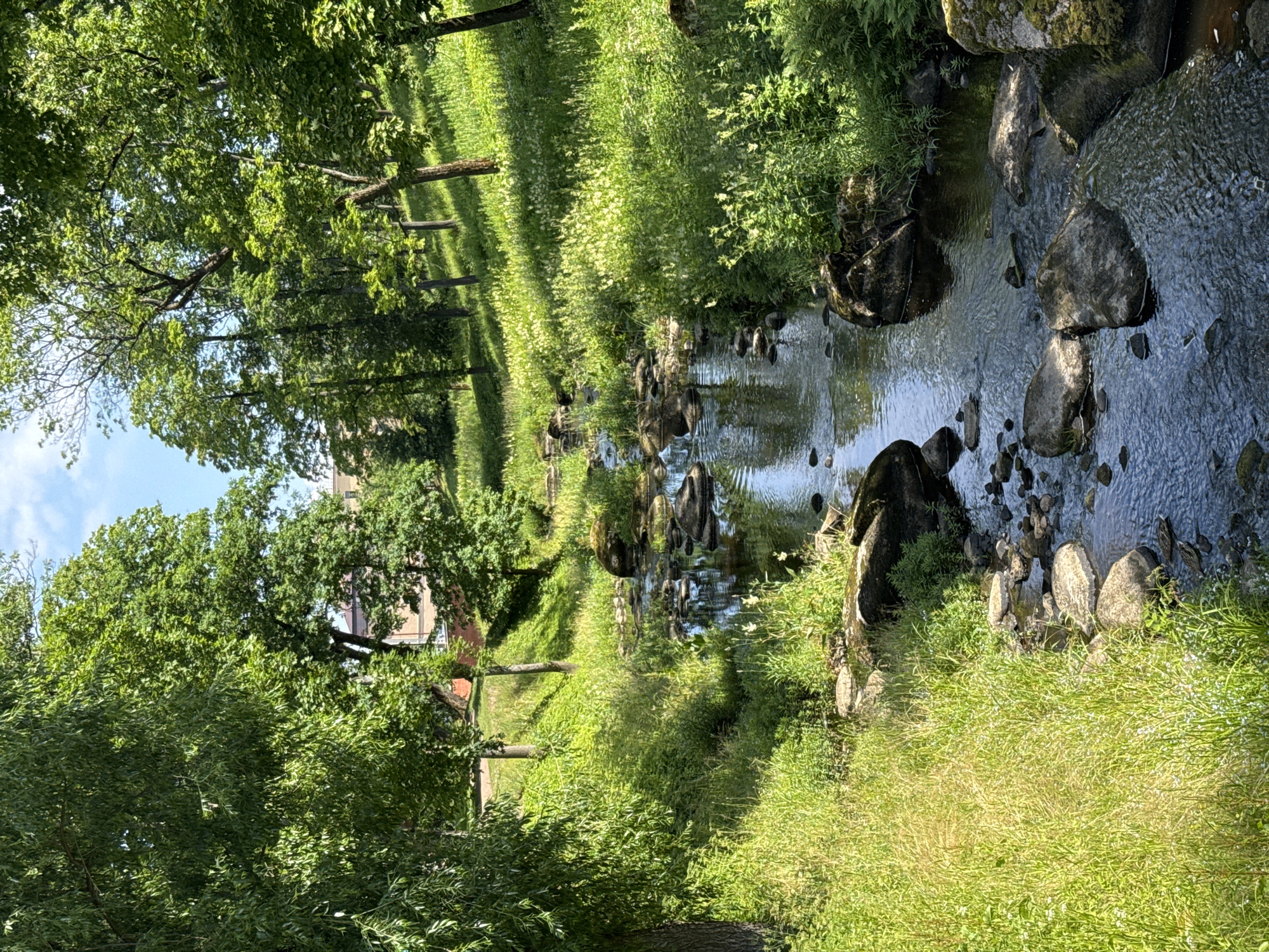 The image shows a tranquil stream flowing through a lush green park, likely in the city of Lomonosov, Russia, given the architectural style of the building visible in the background. Tall, leafy trees line the banks of the stream, casting dappled shadows on the water and the surrounding grassy slopes. Smooth, grey stones are scattered along the stream bed and banks, some partially submerged in the clear, shallow water. The vegetation is dense, with tall grasses and flowering plants adding to the natural beauty of the scene. The sky is partly cloudy, with patches of blue visible between the leaves of the trees. The overall impression is one of peaceful, unspoiled nature within an urban setting.