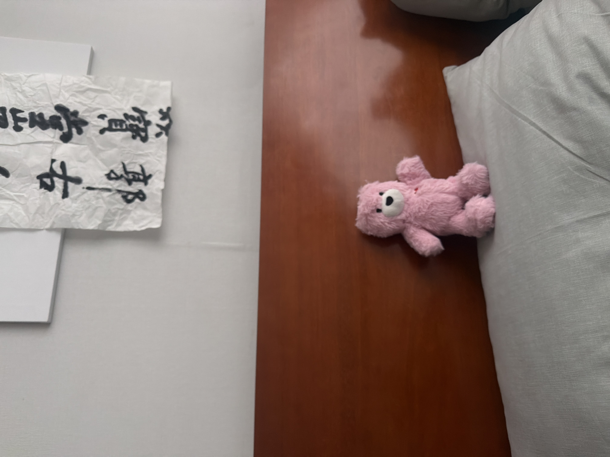 A photograph shows a crumpled piece of paper with black calligraphy resting on a stack of white paper on a white surface. Next to this, on a dark wooden surface, lies a small, pink teddy bear next to a large, grey pillow. The scene provides no indications of being in Seoul, South Korea. No people are visible.