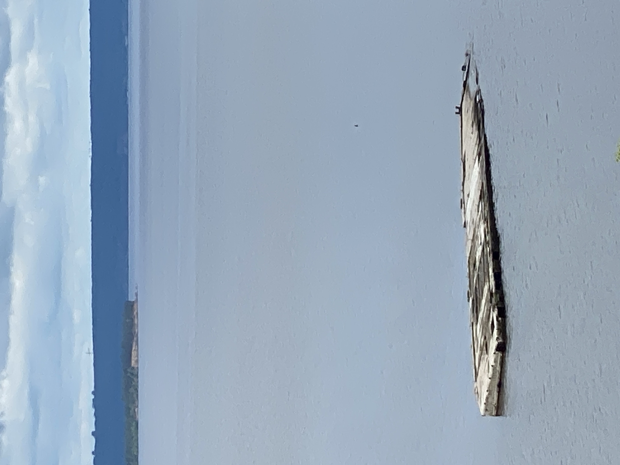 The image shows a wide, calm body of water under a hazy sky. On the right side of the frame, a long, narrow, weathered structure, possibly a dilapidated pier or a section of a sunken vessel, is partially submerged in the water. The structure is angled and appears to be made of wood, with visible planks and beams. A small, dark speck, possibly a bird or debris, is visible in the sky above the water in the center-left of the frame.
On the left side of the image, a distant shoreline is visible, with a band of trees and land leading to a cloudy sky. The clouds are a mix of white and blue-gray, suggesting an overcast or partly cloudy day. The overall color palette is muted, dominated by shades of blue and gray, indicating a cool or subdued atmosphere. The water appears still, reflecting the sky. No people are visible in the image. The scene evokes a sense of quietness and perhaps melancholy due to the dilapidated state of the structure and the overcast weather. The context provided places the scene in Leninsky, Russia. There is no visible text in the image.