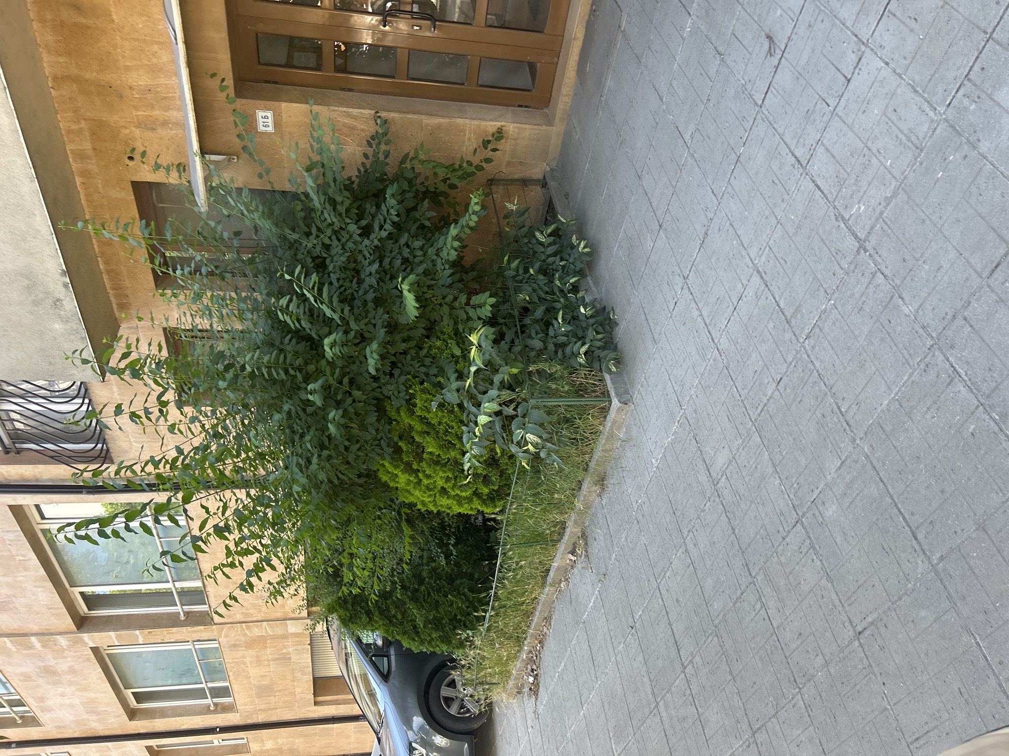 The image depicts a building facade with a prominent entrance and surrounding greenery. The building features light brown stone cladding and several windows. To the left, a grey car is partially visible. In front of the building, a dense arrangement of green shrubs and trees creates a natural barrier. A small, low green metal fence encloses a strip of grass and weeds. The ground in the foreground is paved with grey square tiles arranged in a grid pattern. A sign with the number "61 Б" is affixed to the building near the entrance. The scene appears to be on a street in the city of Varna, Bulgaria, suggesting an urban outdoor setting.