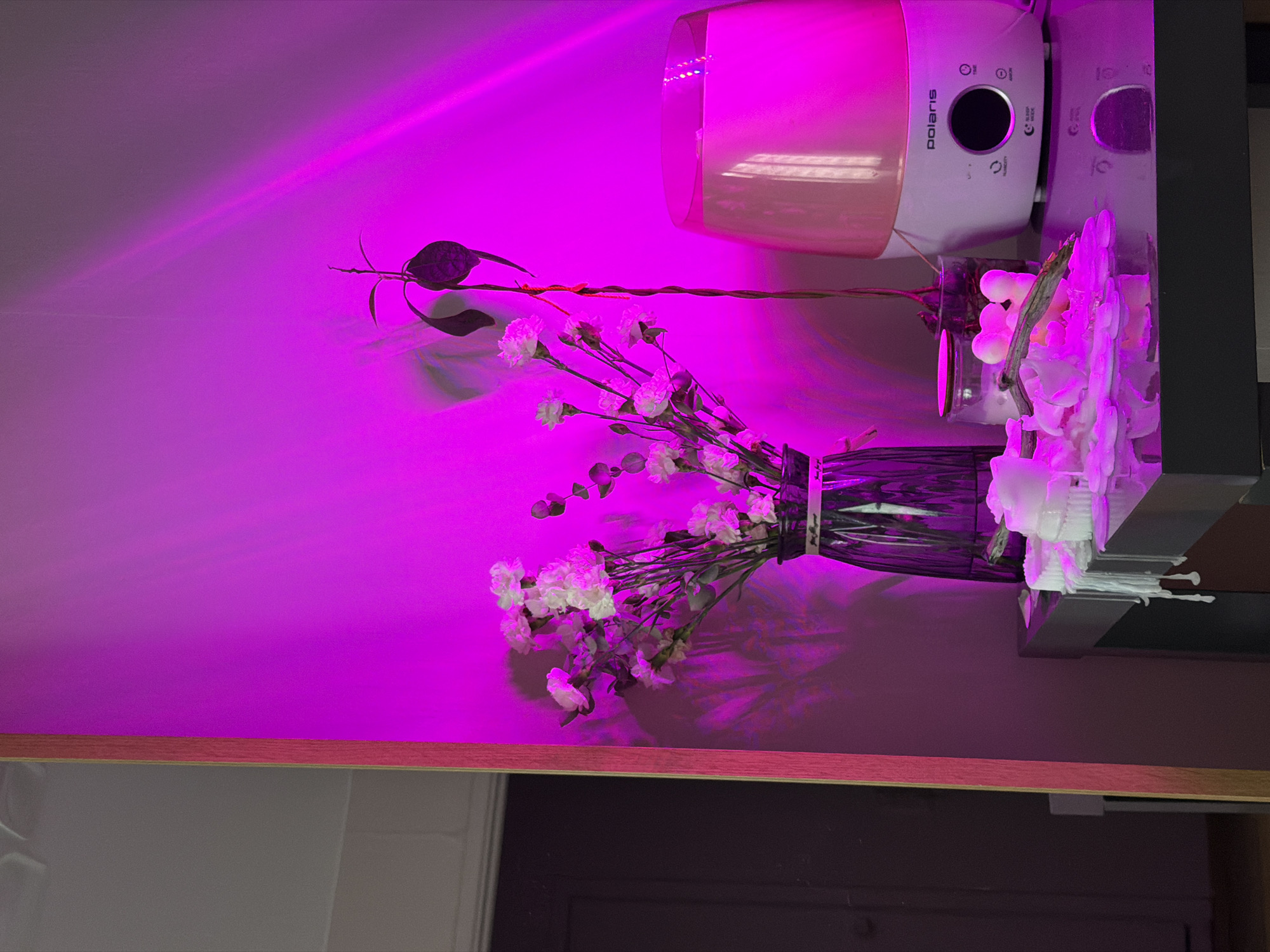 This media file captures an indoor scene dominated by a vibrant magenta-purple artificial light. The light emanates from an unseen source in the upper left, casting strong shadows and illuminating the objects in the room with a striking glow.
In the upper right, a white Polaris brand humidifier is prominently displayed, featuring a circular control panel with various icons and text, including "ON/OFF," "TIMER," and "SLEEP MODE." Below and to the left of the humidifier, a dark vase holds a bouquet of small, white flowers, possibly carnations, their petals subtly tinted by the magenta light. Adjacent to this, on the right, is another container with what appears to be melted white wax or decorative elements, alongside a clear jar containing white spherical objects.
A thin, dark branch with a few leaves extends from the left side of the frame, partially visible in the magenta light. Another branch with leaves can be seen behind the humidifier, weaving across the scene. The objects are arranged on a dark shelf or surface, beneath which a wooden edge is visible, separating the illuminated scene from a darker area below.
No people are present, and there is no specific activity taking place. The scene is static, focusing on the aesthetic arrangement of household items under the distinctive artificial lighting, which could be a grow light for plants or simply decorative mood lighting. The overall impression is one of modern interior decor.
