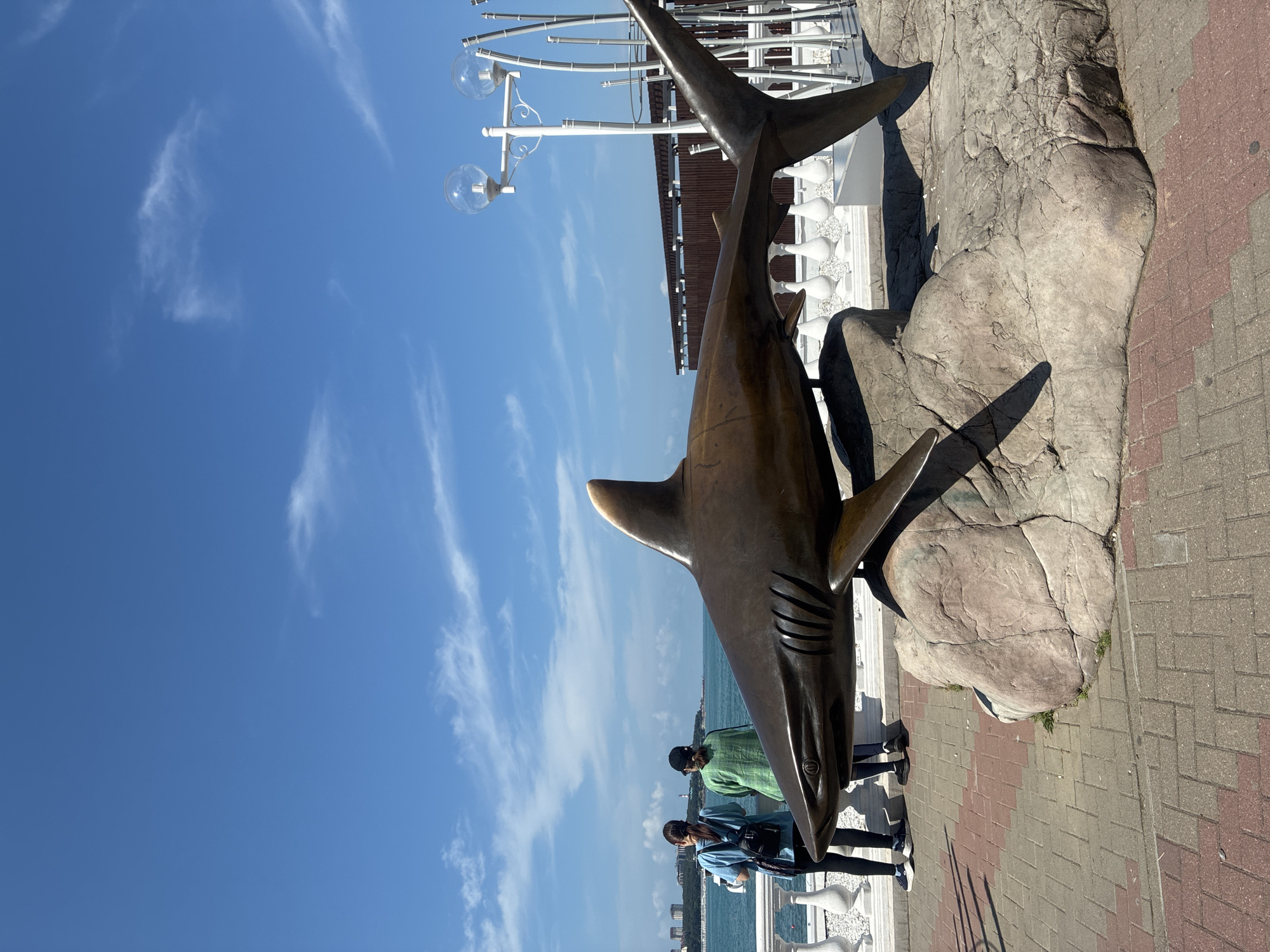A bronze statue of a shark is prominently displayed on a rock formation on a paved promenade, overlooking the Black Sea. The shark sculpture is positioned in the foreground, facing left, with its body arching upwards. Behind the sculpture, two individuals stand by a white railing, looking out towards the water. The sea is a deep blue, with a distant coastline visible under a bright blue sky dotted with wispy white clouds. The promenade is paved with red and grey bricks, and decorative streetlights with globe-shaped fixtures line the right side of the frame. The scene appears to be a public space, likely a tourist attraction, given the statue and the open waterfront. Based on its location and the presence of similar shark sculptures, this is likely the shark sculpture at the Gelendzhik embankment in Gelendzhik, Russia.